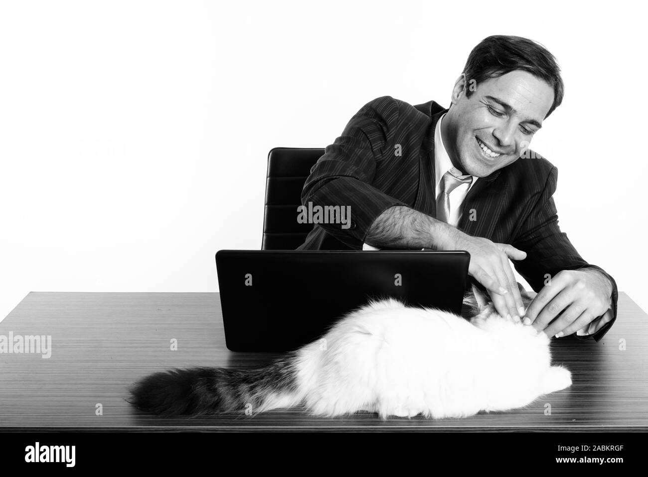 Studio shot di giovani felici imprenditore persiano sorridente e toccando cute cat mentre è seduto con il portatile sul tavolo di legno Foto Stock