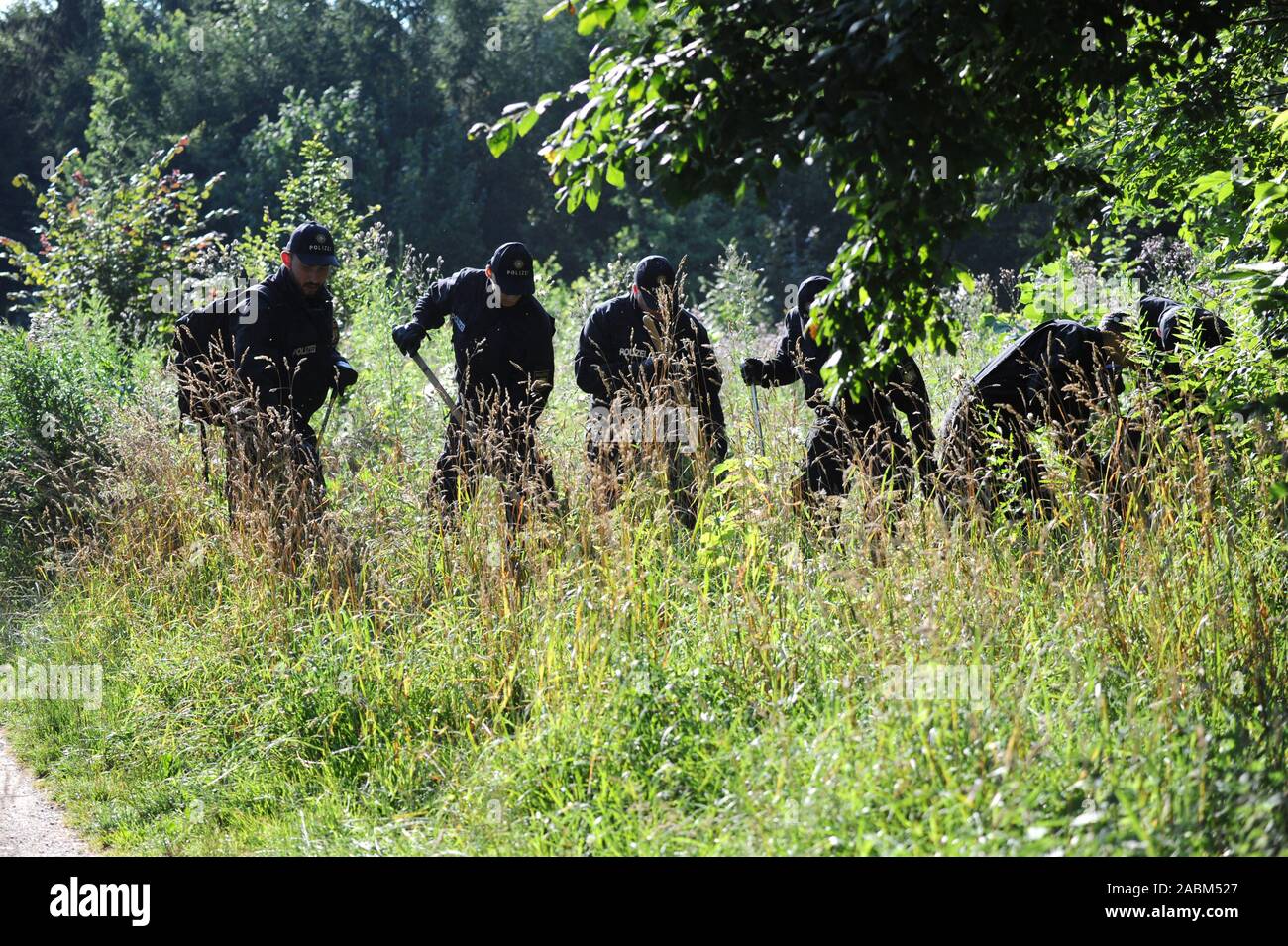 Investigatori della polizia sono la pettinatura di una foresta in Waldperlach vicino a Monaco di Baviera in cerca di due donne scomparse. [Traduzione automatizzata] Foto Stock