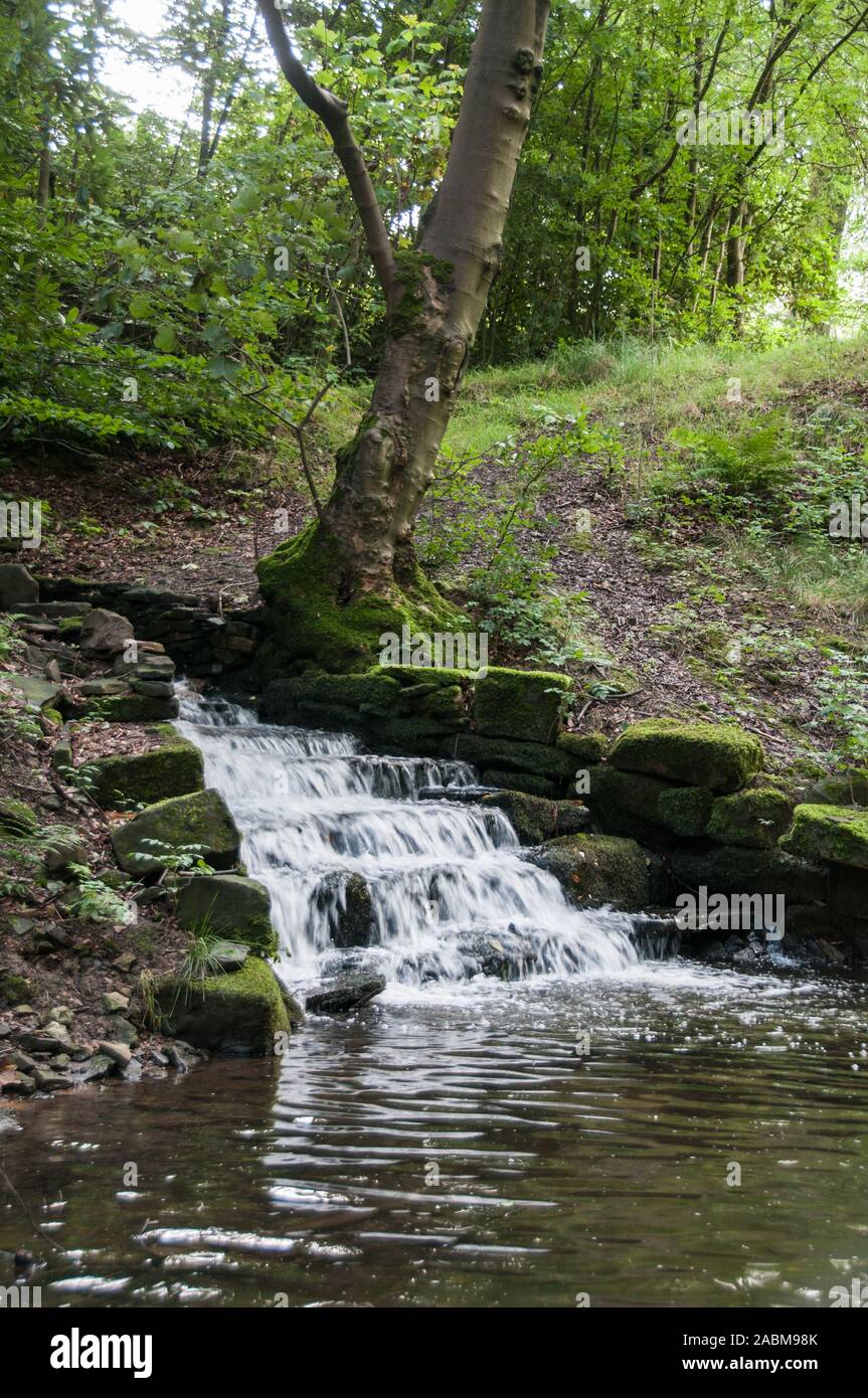 Intorno al Regno Unito - West Yorkshire su mori sopra Todmorden. Controllo dell'acqua per l'ex mulini giù nella valle. Alimentazione di flussi in stagni di mulino . Foto Stock