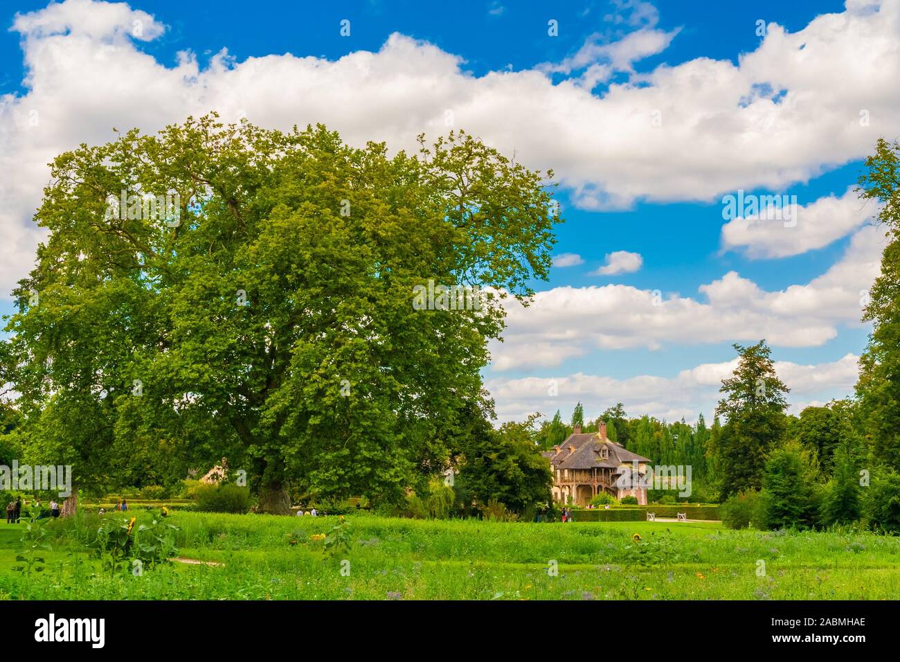 Incantevole paesaggio panoramico vista di un grande vecchio albero nel giardino di Trianon di Versailles in una bella giornata d'estate con un cielo blu. Il lago e la Queen's... Foto Stock