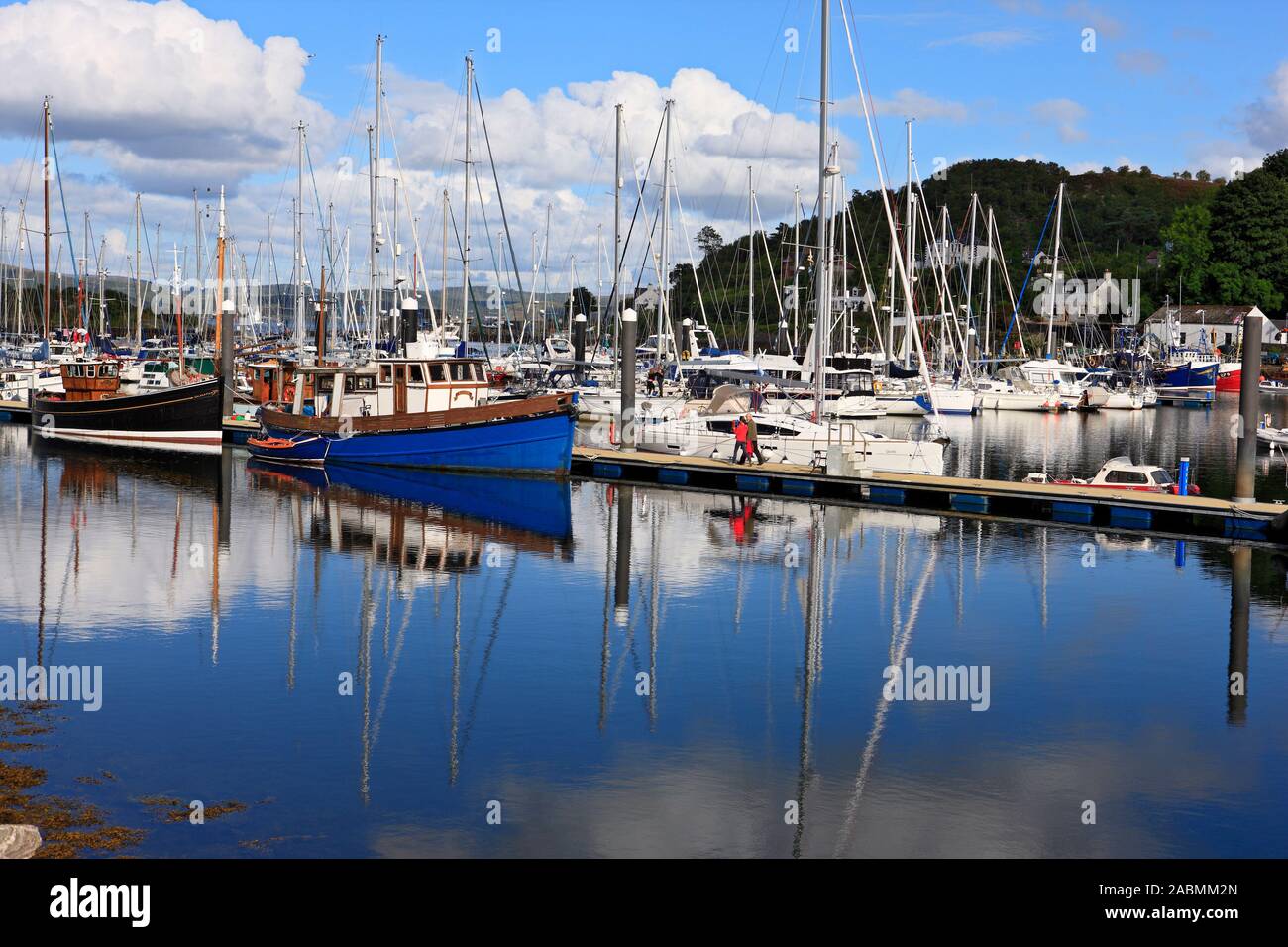 Barche ormeggiate a Tarbert Marina in Loch Fyne, Argyll & Bute, Scozia Foto Stock