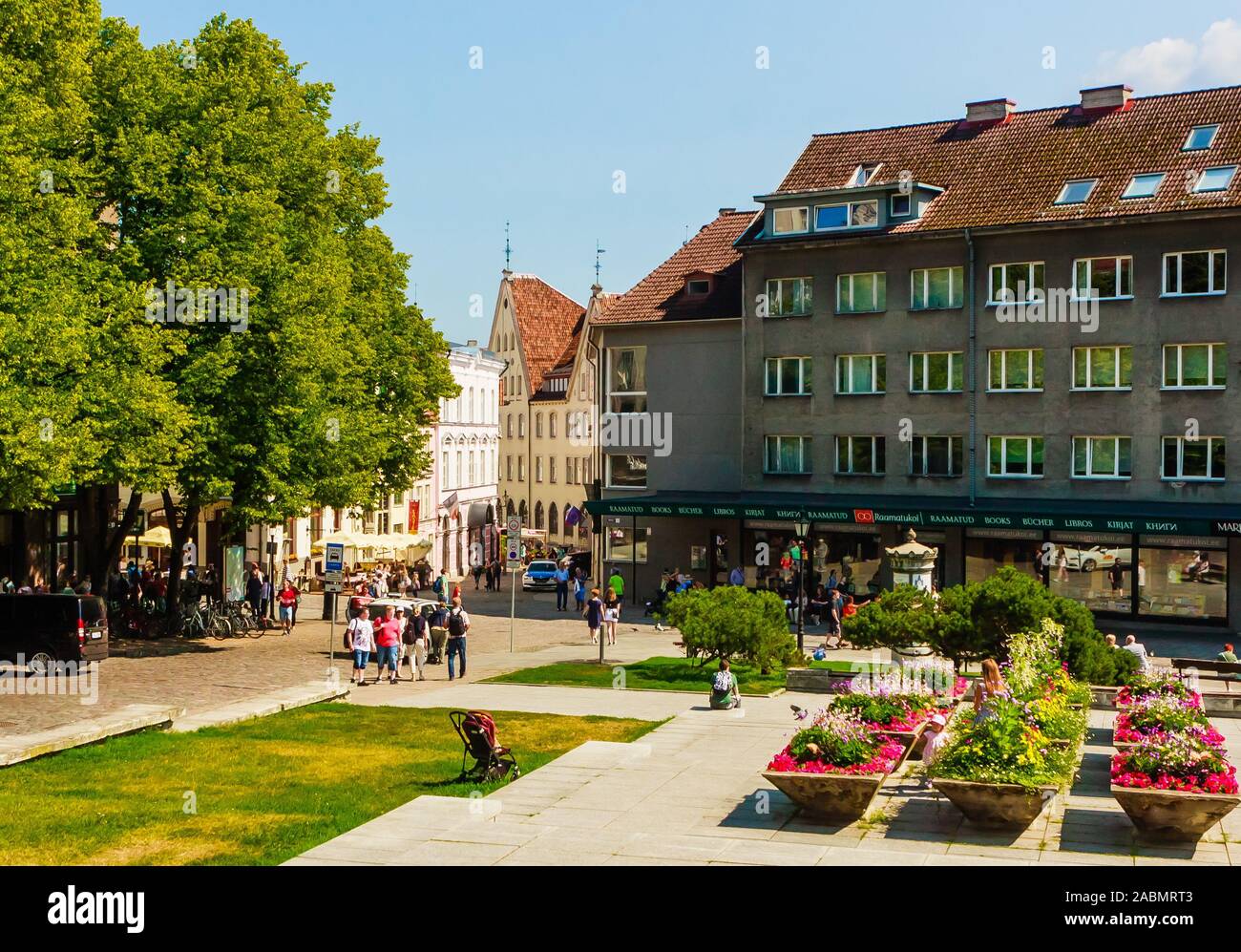 Harju street, città vecchia, Tallinn, Estonia Foto Stock