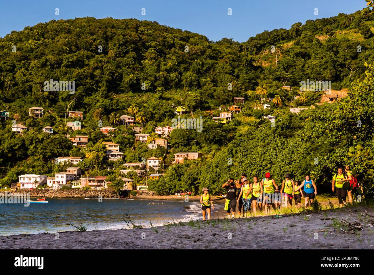 Hash House Harriers Running Event in Happy Hill, Grenada. Dopo un breve tratto lungo la spiaggia si deve trovare la strada giusta per la foresta Foto Stock