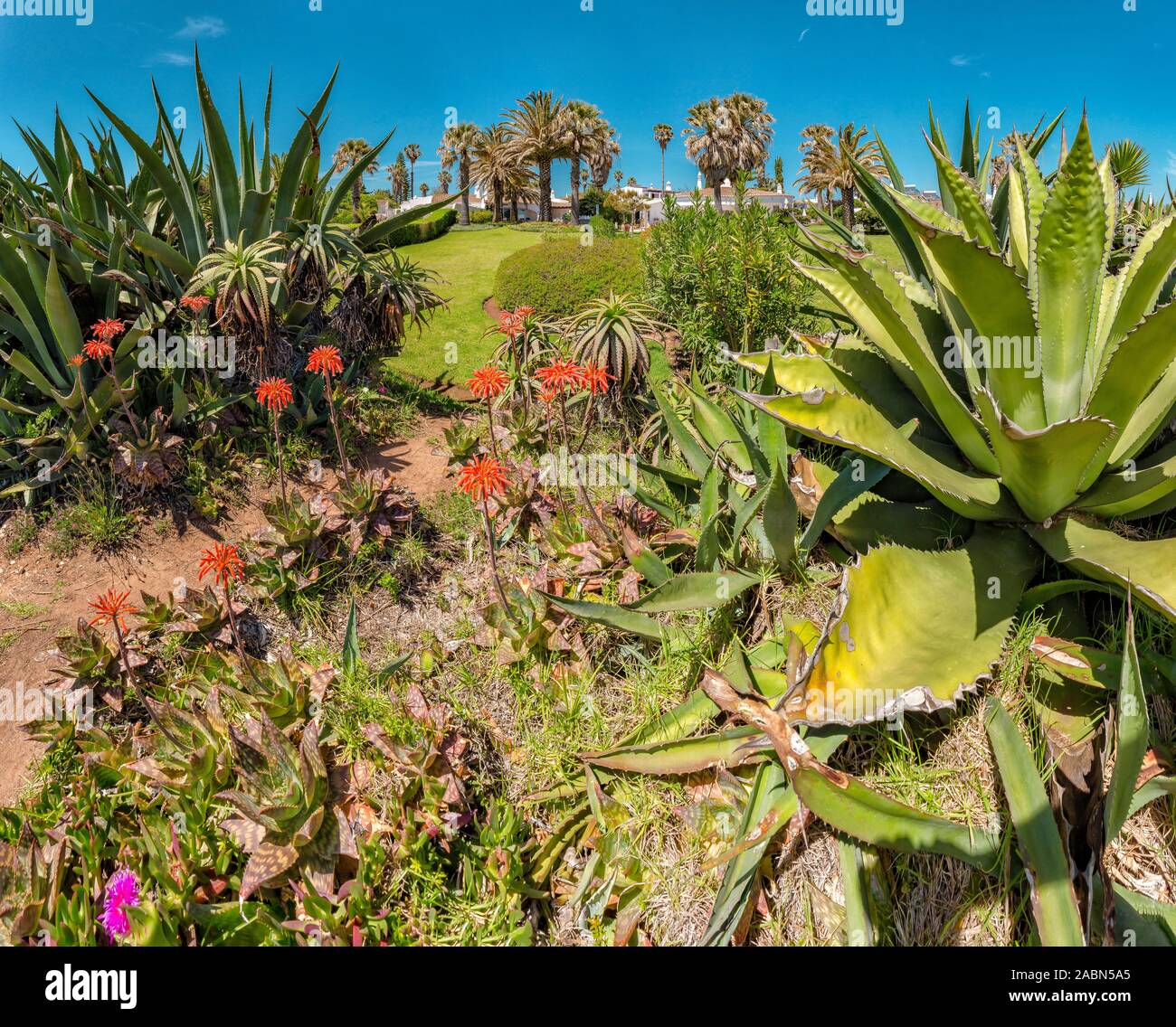 Giardini delle ville di lusso vicino alla costa, a Benagil, Portogallo Foto Stock