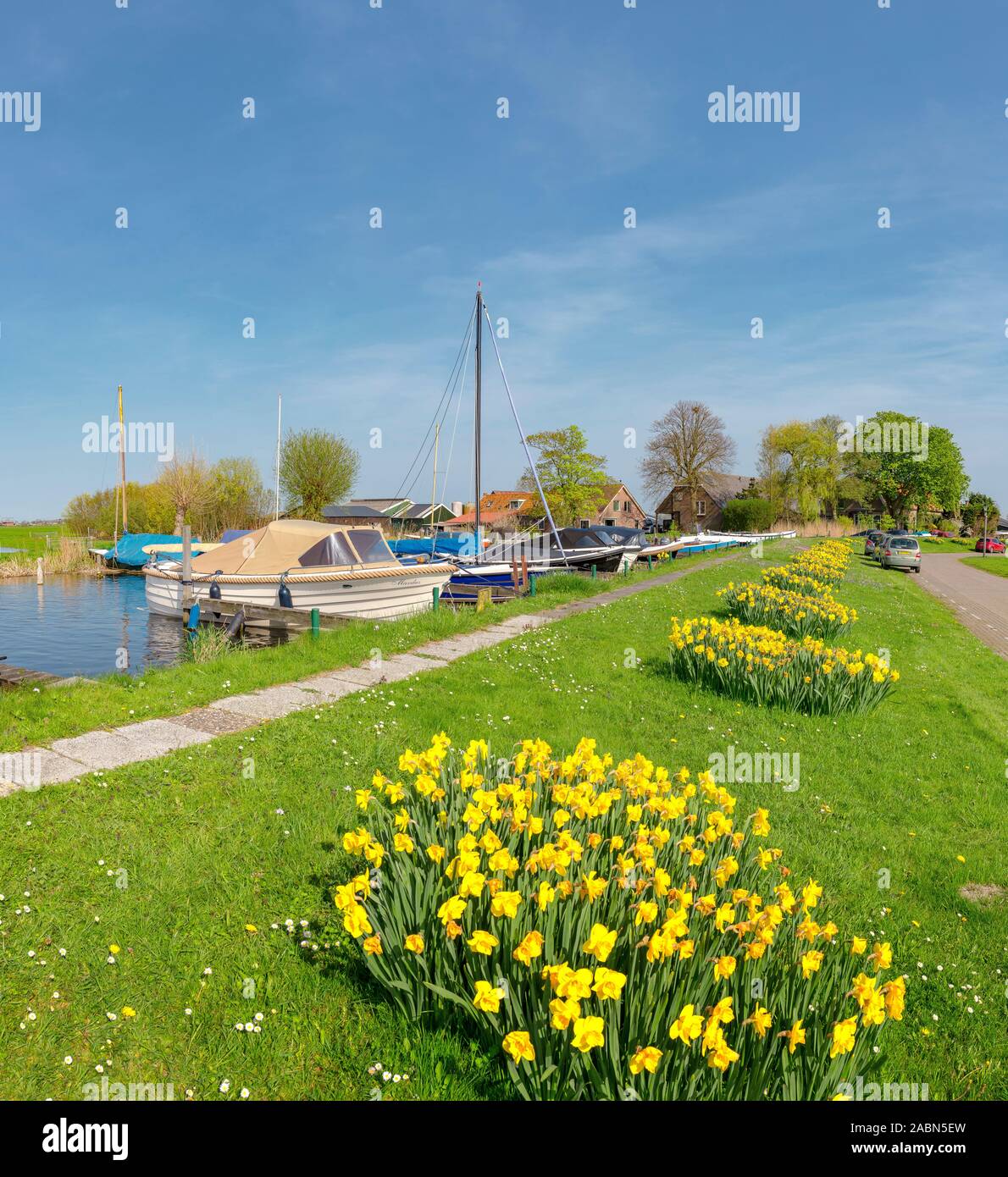 Daffodills a una diga con barche ormeggiate, Warmond, Zuid-Holland Foto Stock