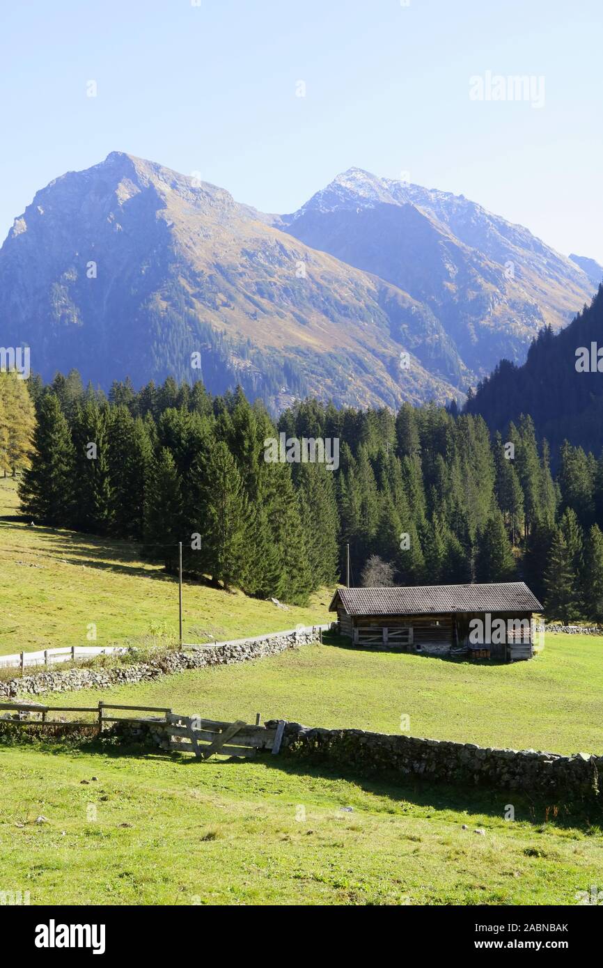 Herbststimmung im Walserdorf Monbiel. Blick von der Alp Schwendi auf Canardhorn und Weisshorn. Foto Stock