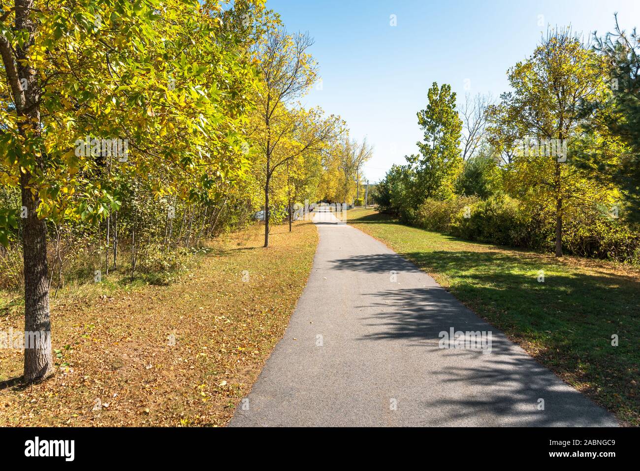 Deserto sentiero pavimentato foderato con alberi di giallo su una soleggiata giornata autunnale Foto Stock