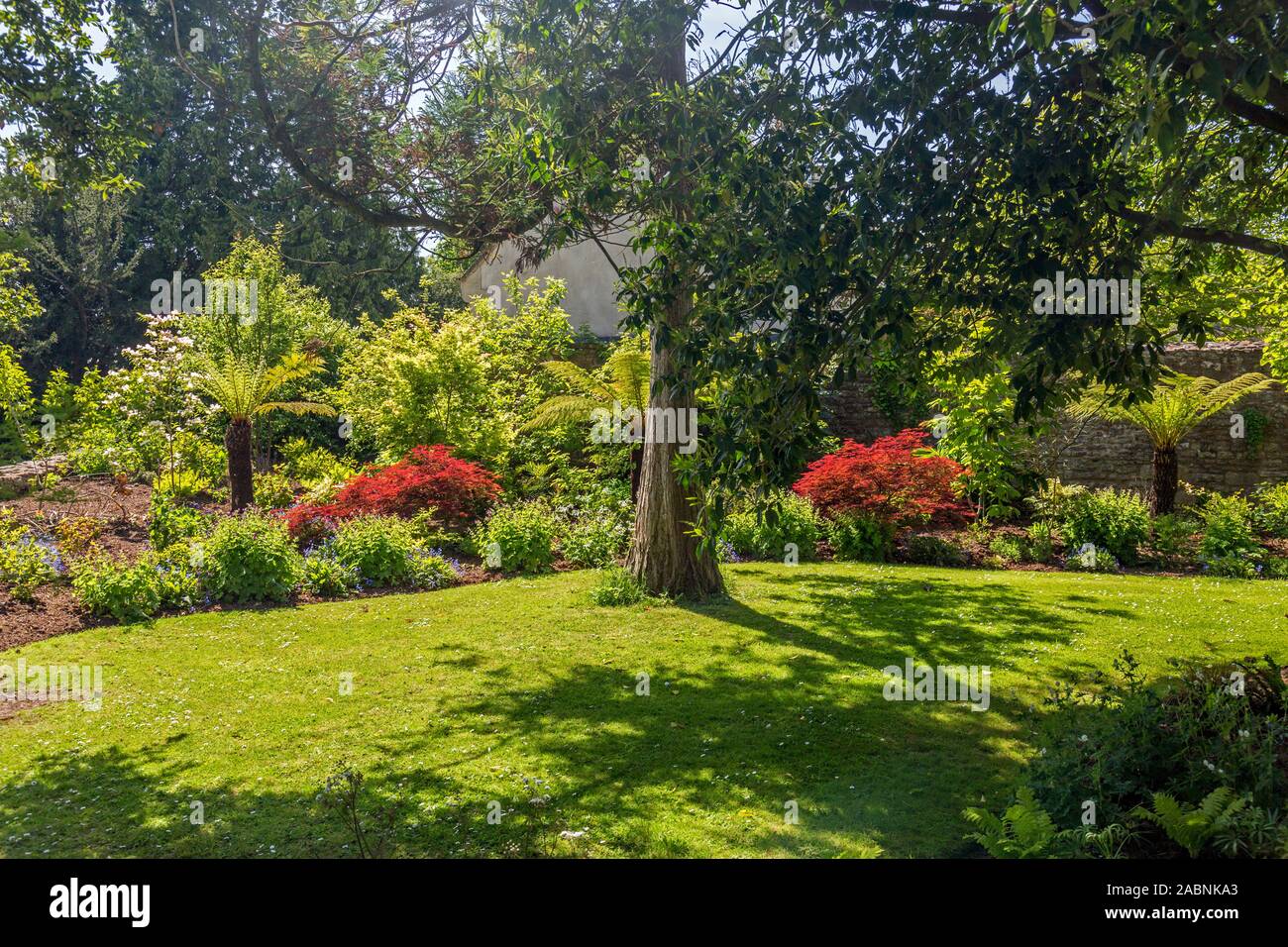 Bordi colorati e i letti attirano molti visitatori all'interno del giardino murato del Palazzo del Vescovo in pozzetti, Somerset, Inghilterra, Regno Unito Foto Stock