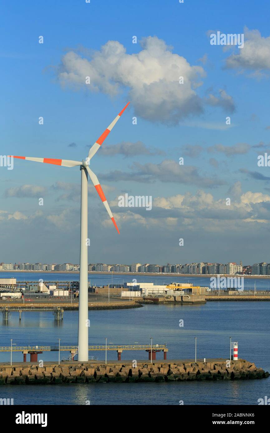 Il mulino a vento, porto di Zeebrugge, Fiandre, in Belgio Foto Stock