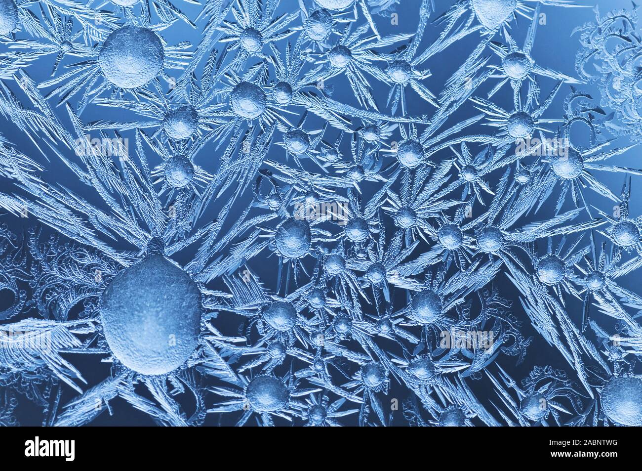 Maerz 2009 | Eisblumen un einer Fensterscheibe | fiori di ghiaccio su una finestra Foto Stock