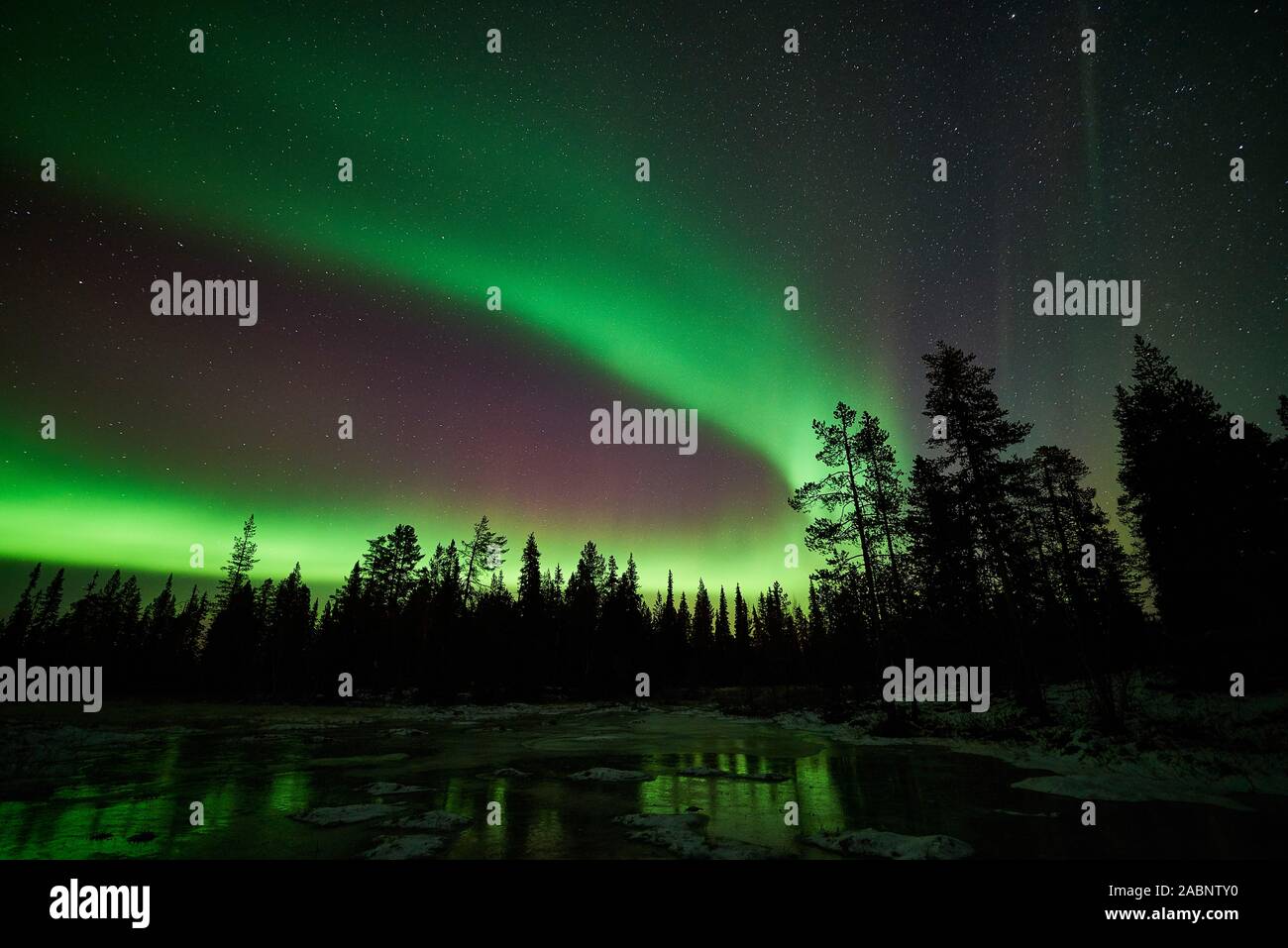 Nordlicht, Schwedisch-Lappland, Skandinavien Foto Stock