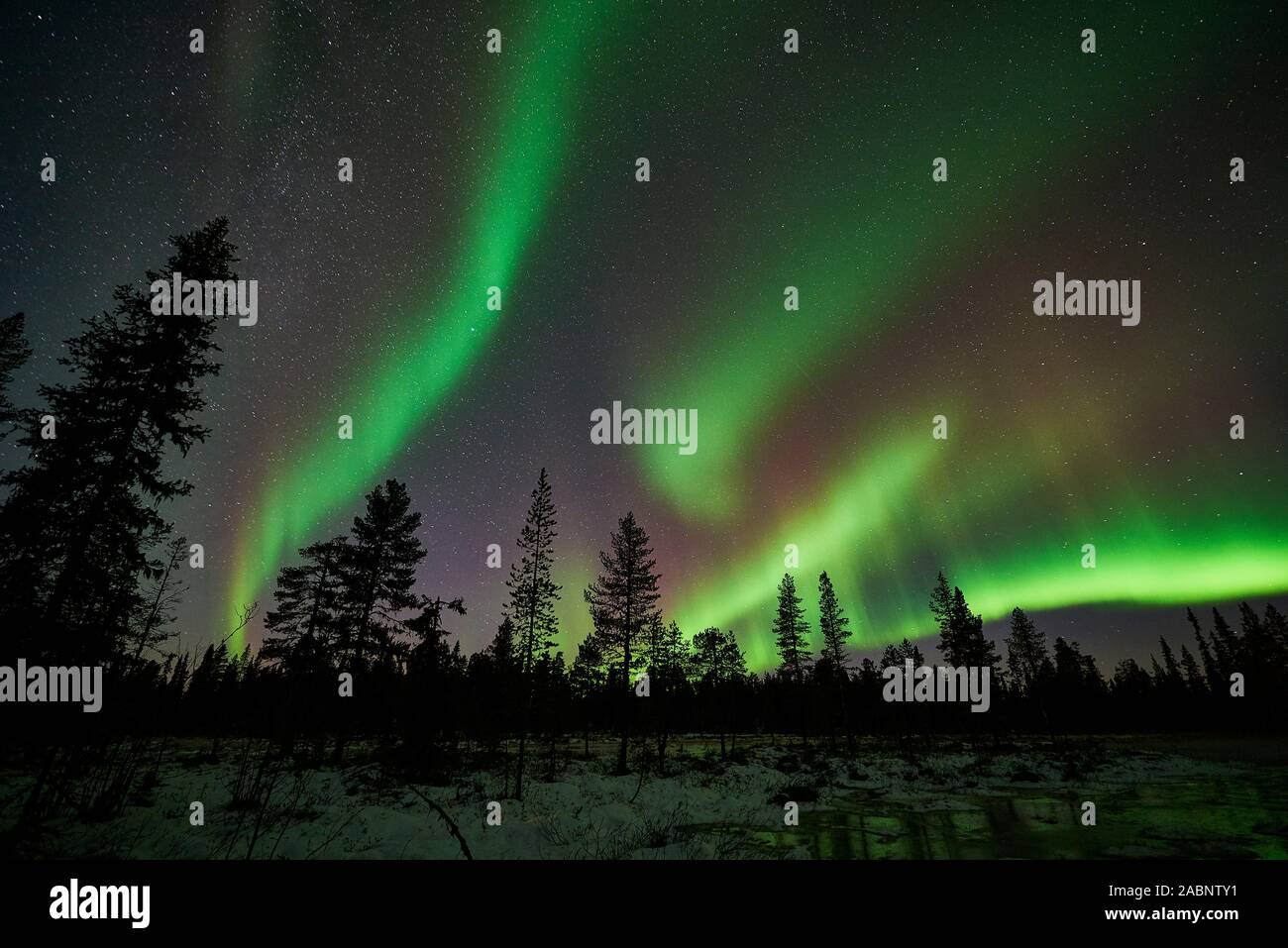 Nordlicht, Schwedisch-Lappland, Skandinavien Foto Stock