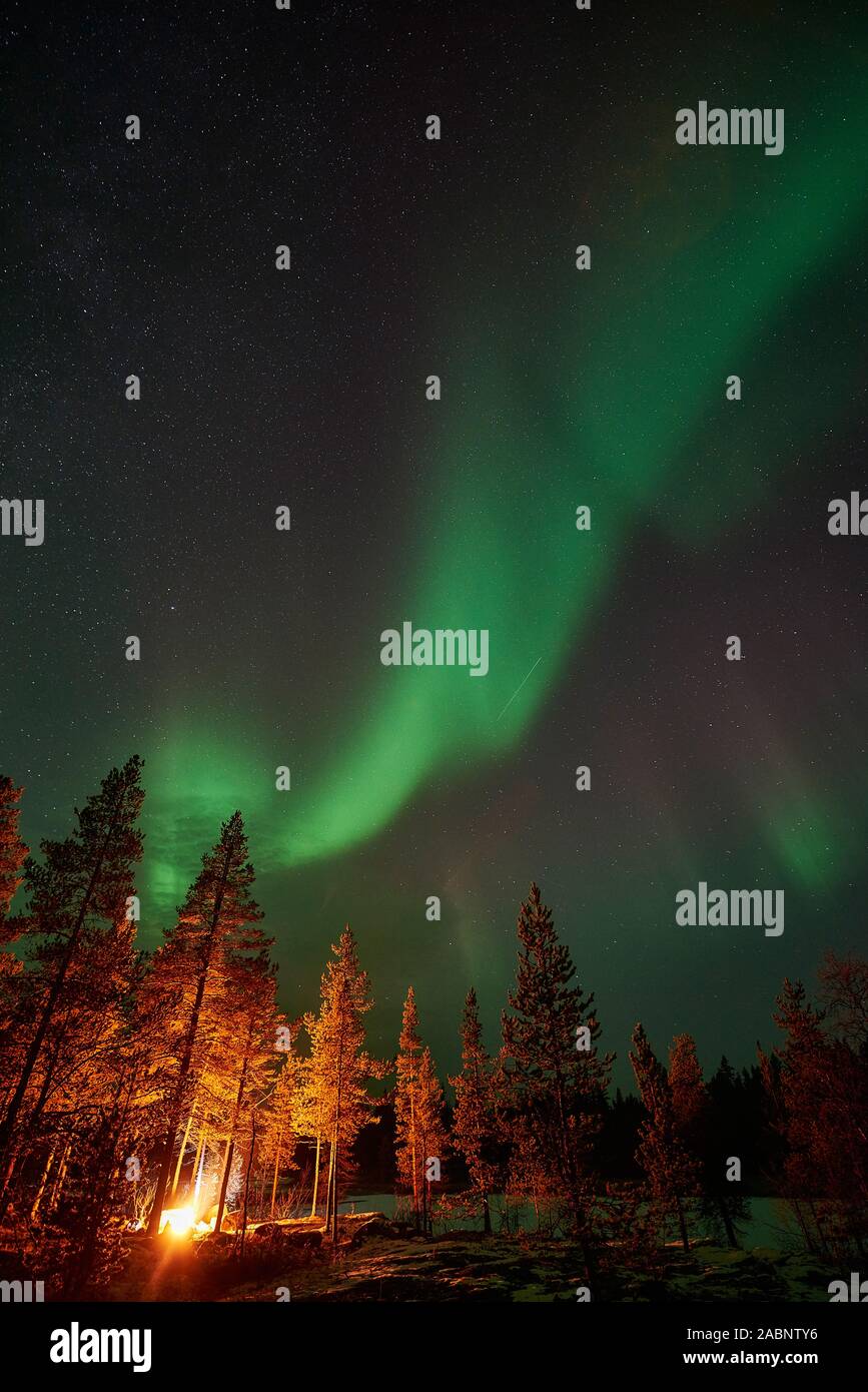 Nordlicht, Schwedisch-Lappland, Skandinavien Foto Stock