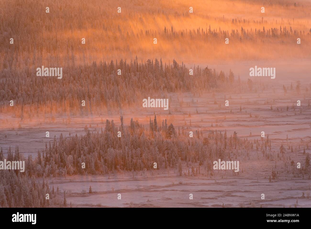 Landschaft im Gegenlicht, Schwedisch-Lappland, Skandinavien Foto Stock