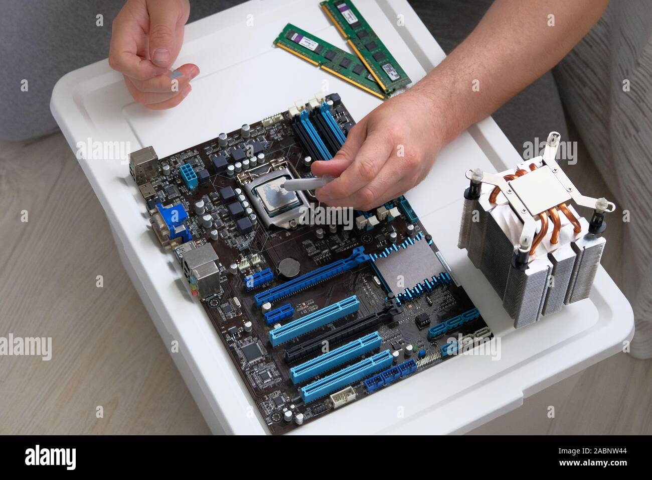 Servizio elettronica e computer concetto. Il grasso termico per computer. Maschio applicato a mano la pasta termica per il processore. Foto Stock