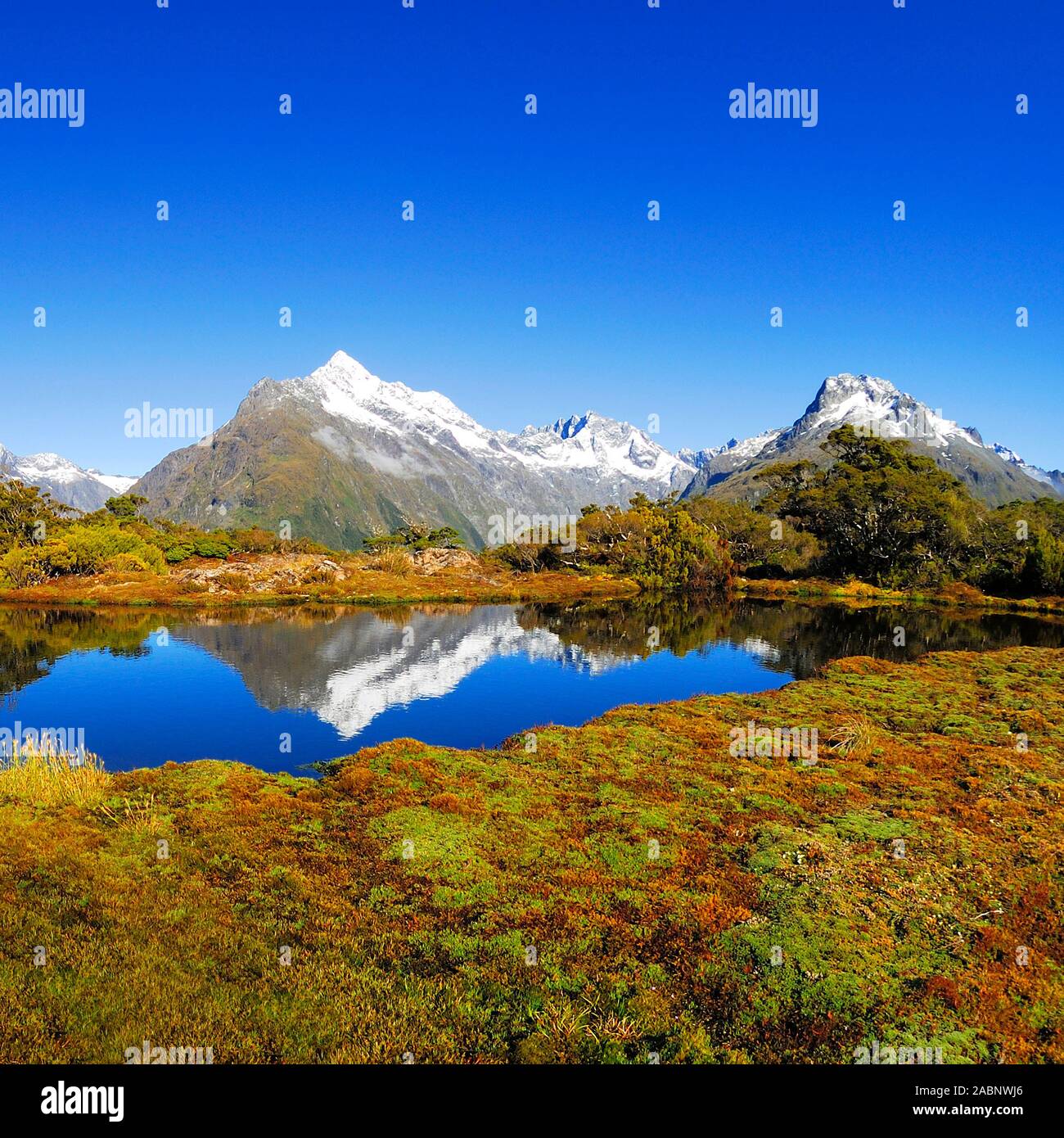 Vertice chiave mit Spiegelung des Mt. Christina, Fjordland Nationalpark, Weltnaturerbe sud ovest della Nuova Zelanda, Westkueste, Suedinsel Neuseeland; Februar Foto Stock