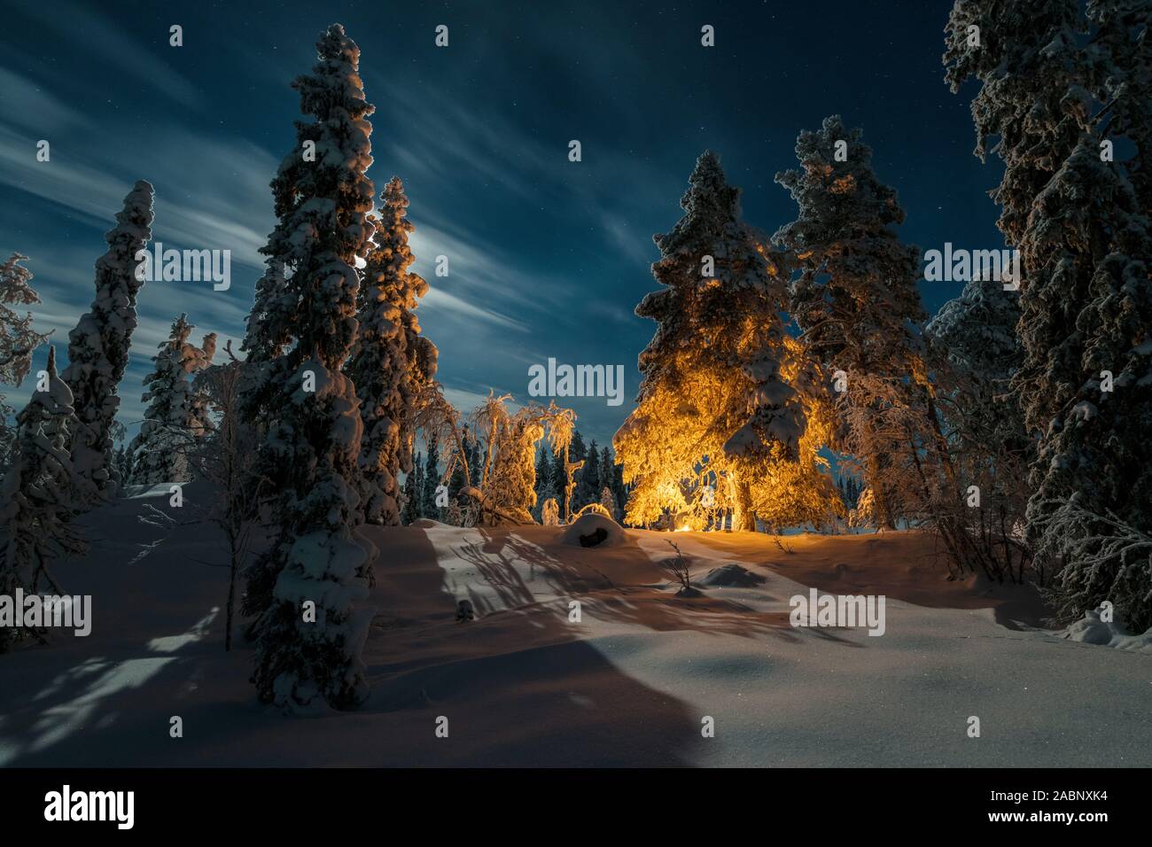 Mondbeschienene Winterlandschaft, Muddsus Nationalaprk, Welterbe Laponia, Lappland, Schweden, Novembre 2017 Foto Stock