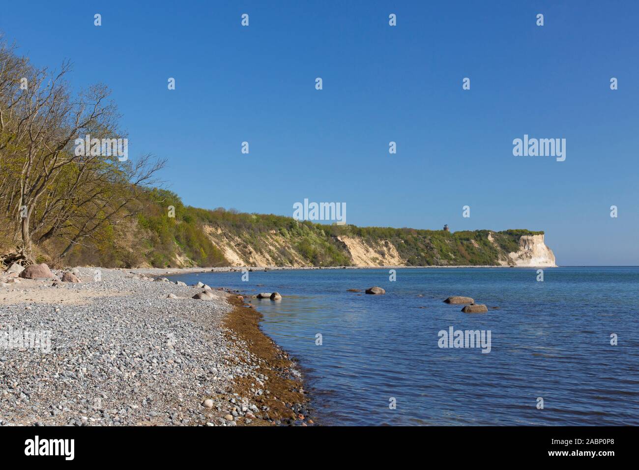 Bianche scogliere del mare di Capo Arkona / Kap Arkona, Putgarten, Wittow penisola sull'isola di Rügen nel Meclemburgopomerania Occidentale, Germania Foto Stock