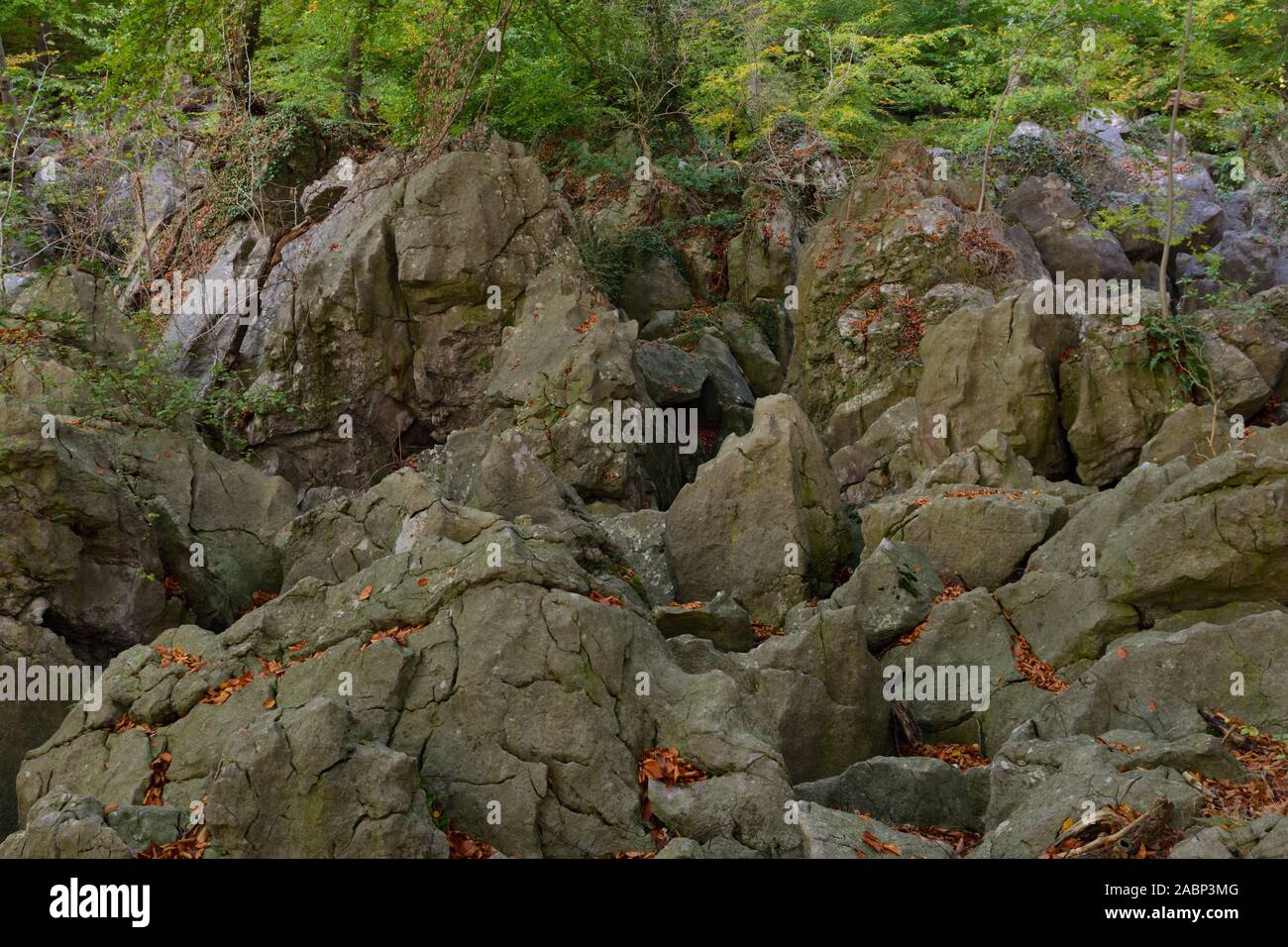 Felsenmeer, famosa Riserva naturale, mare di rocce, rock caos di Hemer, selvaggiamente romantico bosco di faggio in autunno, rientrano, in Germania, in Europa. Foto Stock