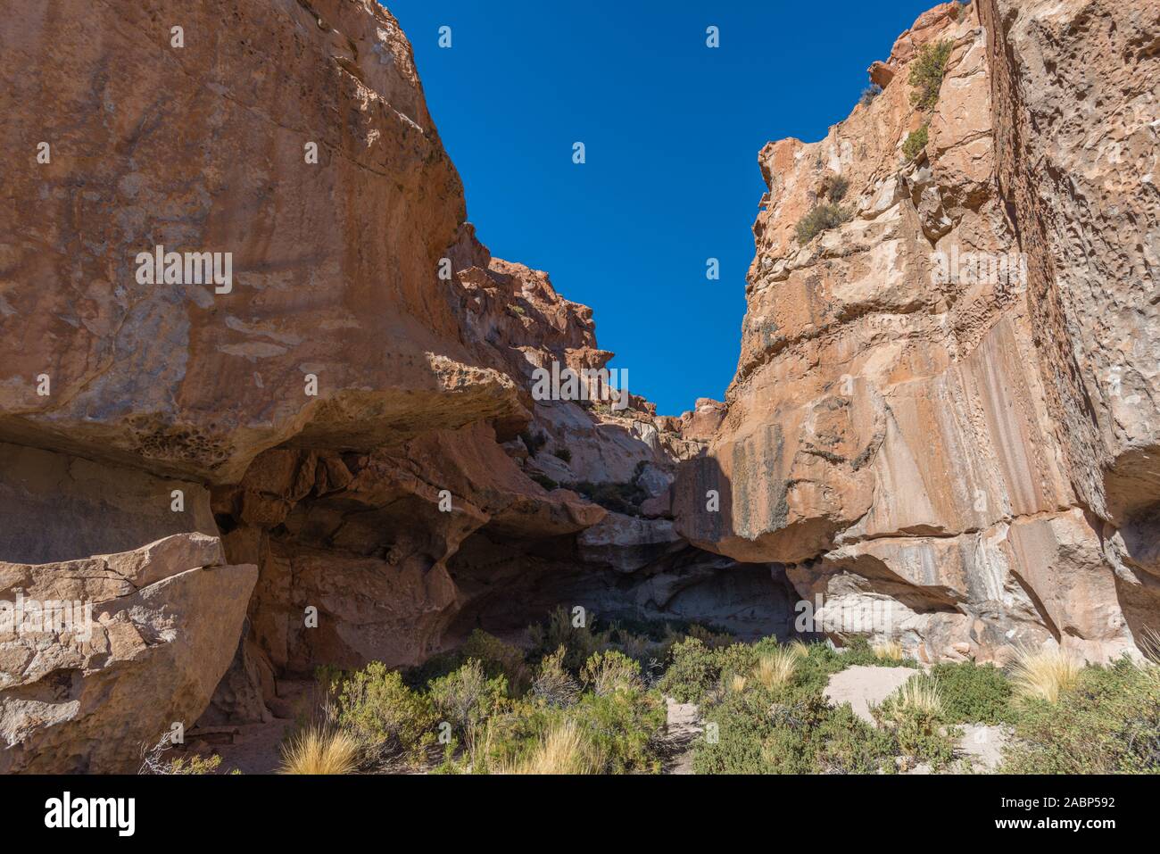 Valles de Rocas, Piedras Rocas, Copa del Mudo, Altiplano meridionale, Bolivia, America Latina Foto Stock