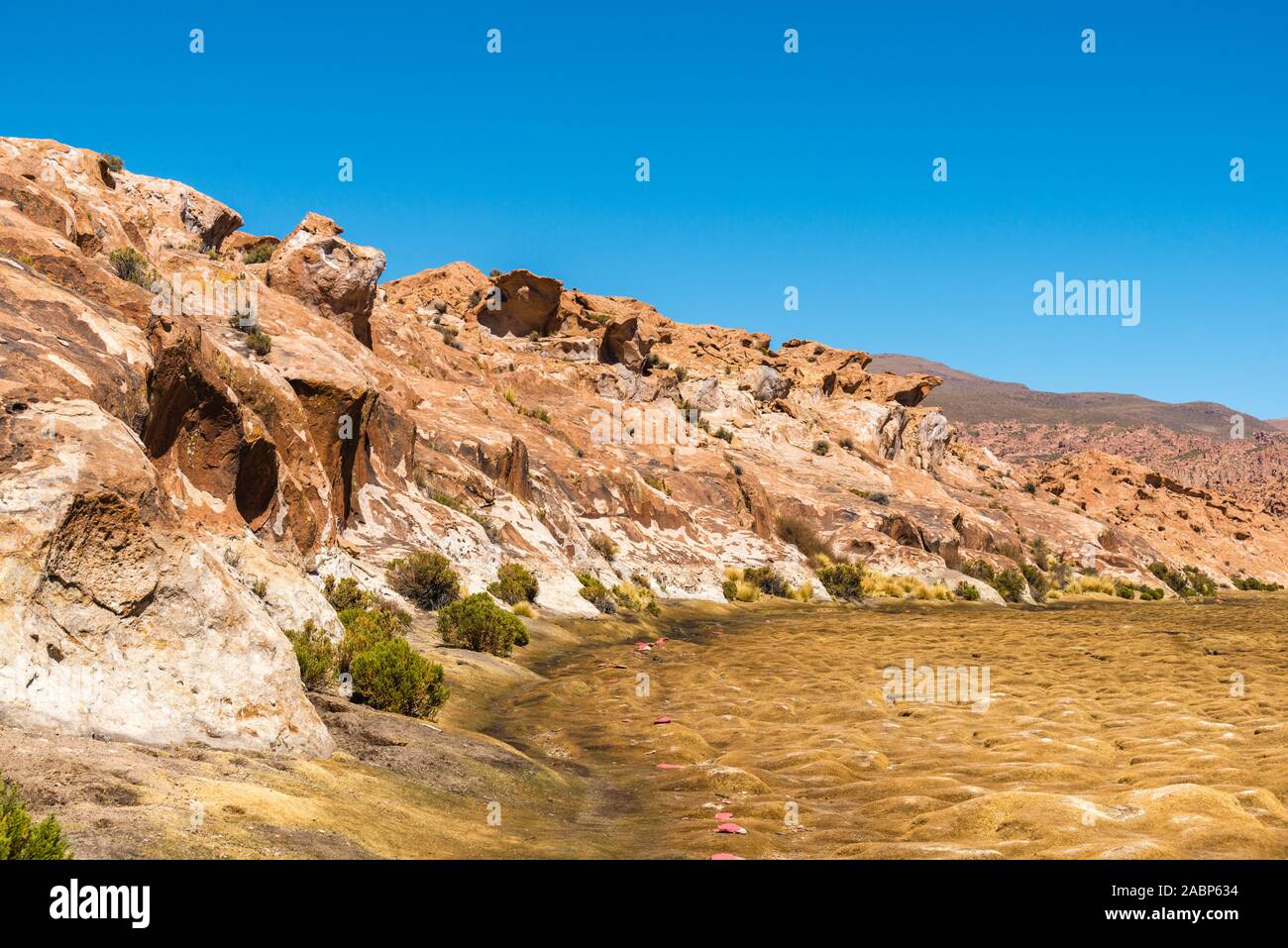 La Valle de Rocas, Laguna Negra, Altiplano meridionale, Bolivia, America Latina Foto Stock