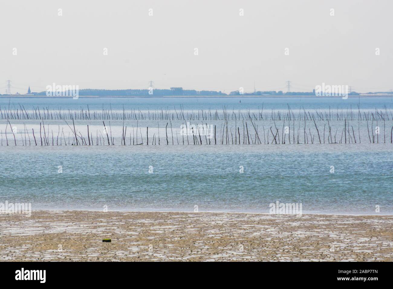 Meteo prodotti della pesca presso la costa di Tholen, Bergsediepsluis, Oosterschelde, i Paesi Bassi, la vecchia costruzione storica e tecnica di pesca Foto Stock