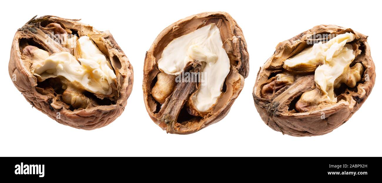 Collezione di rotture di noci isolato su uno sfondo bianco. Foto Stock