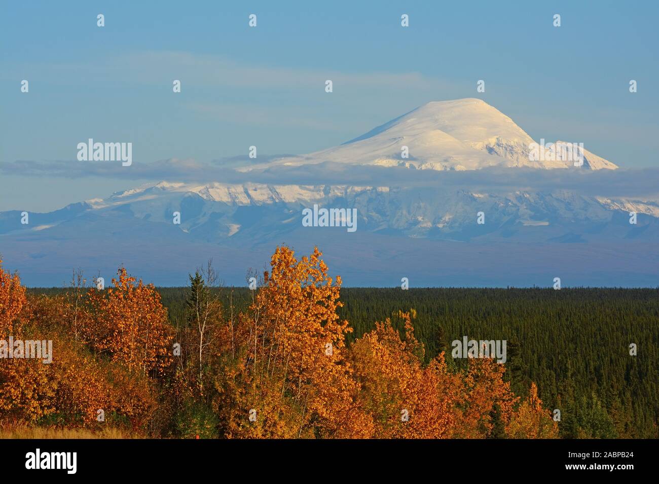Montare il tamburo, Wrangell NP, Alaska Foto Stock
