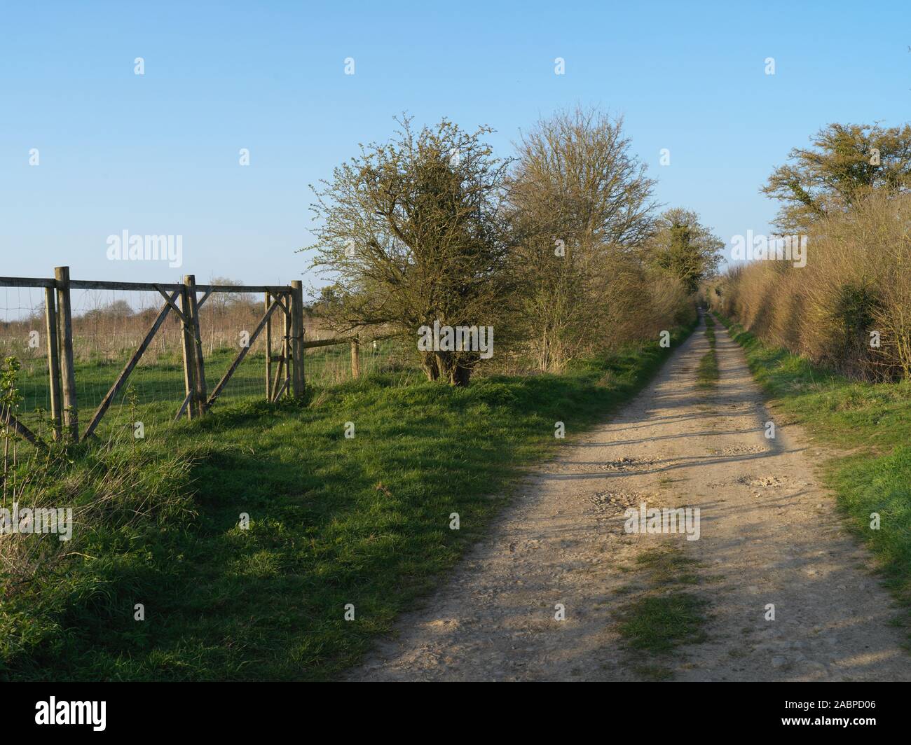 Corsia di mungitura di Witney, nell'Oxfordshire su un luminoso giorno chiaro Foto Stock