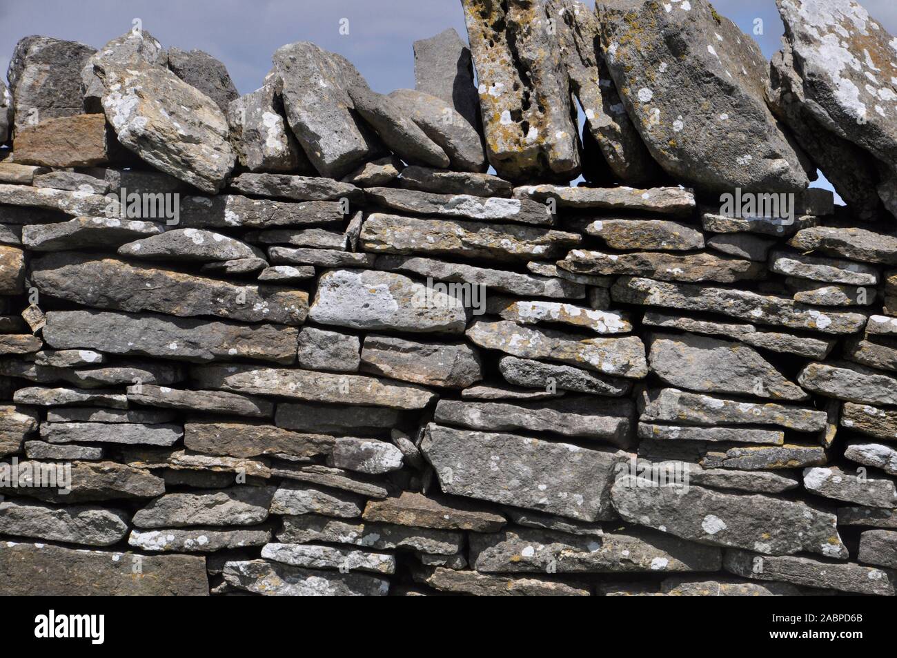 In pietra a secco, muro di confine del campo in Purbeck Dorset UK. con verticale di pietre di tappatura. Calcare, roccia sedimentaria. Foto Stock
