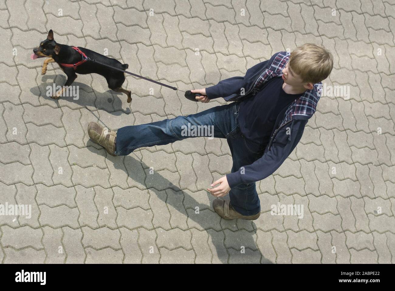 Vista dall'alto di un ragazzo che conduce un cane nero al guinzaglio Foto Stock