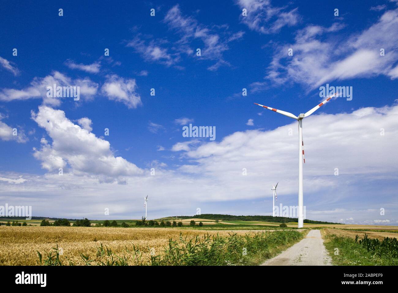 Windkraftanlage im Kornfeld Foto Stock
