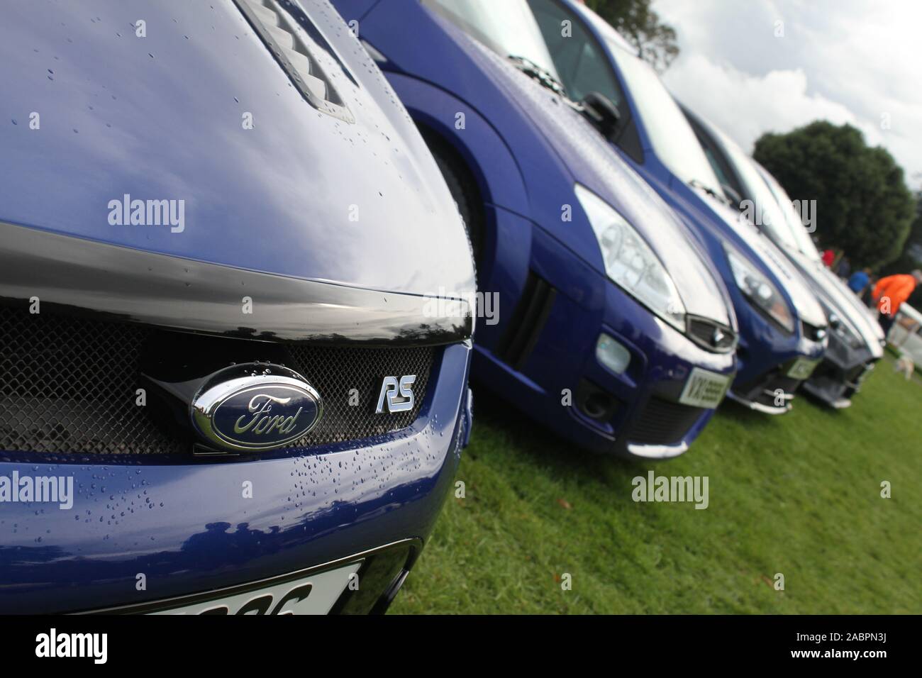 Guardando lungo il fronte di una fila di Ford Focus ST vetture a Kilbroney Vintage Show 2019 Foto Stock