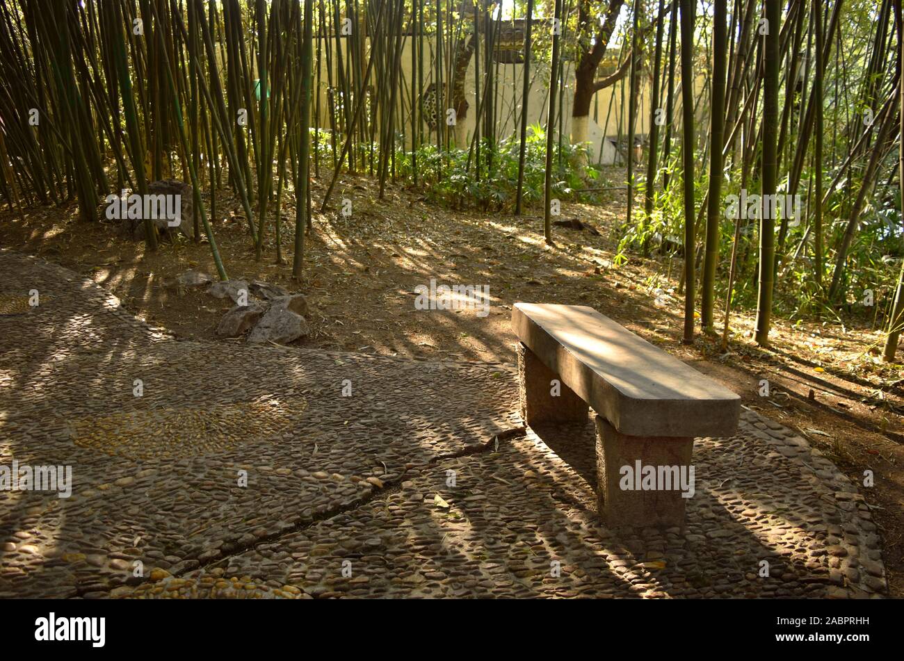 Sede vuota all'ombra della foresta di bamboo, Hefei, Cina Foto Stock
