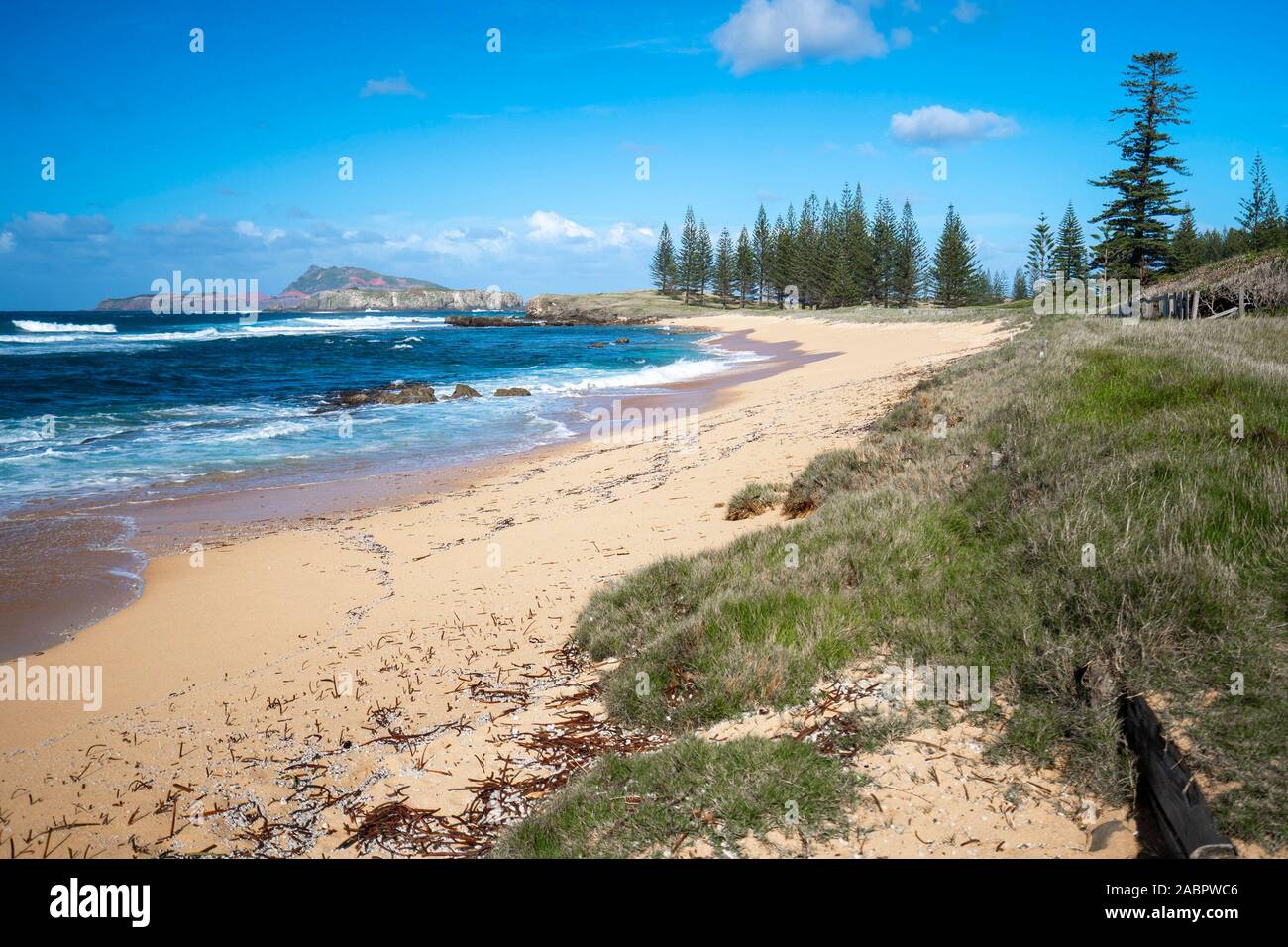 Cimitero Bay bech con Phillip Island nella distanza. Norfolk Island, a sud-ovest del Pacifico, Australia Foto Stock