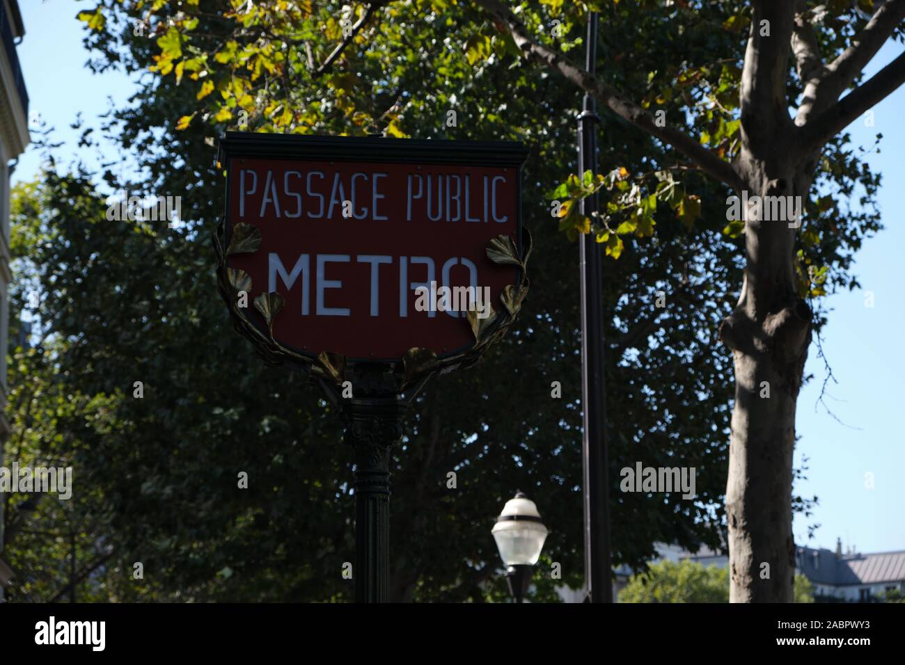 Foglie di Ginkgo sul segno della metropolitana Foto Stock