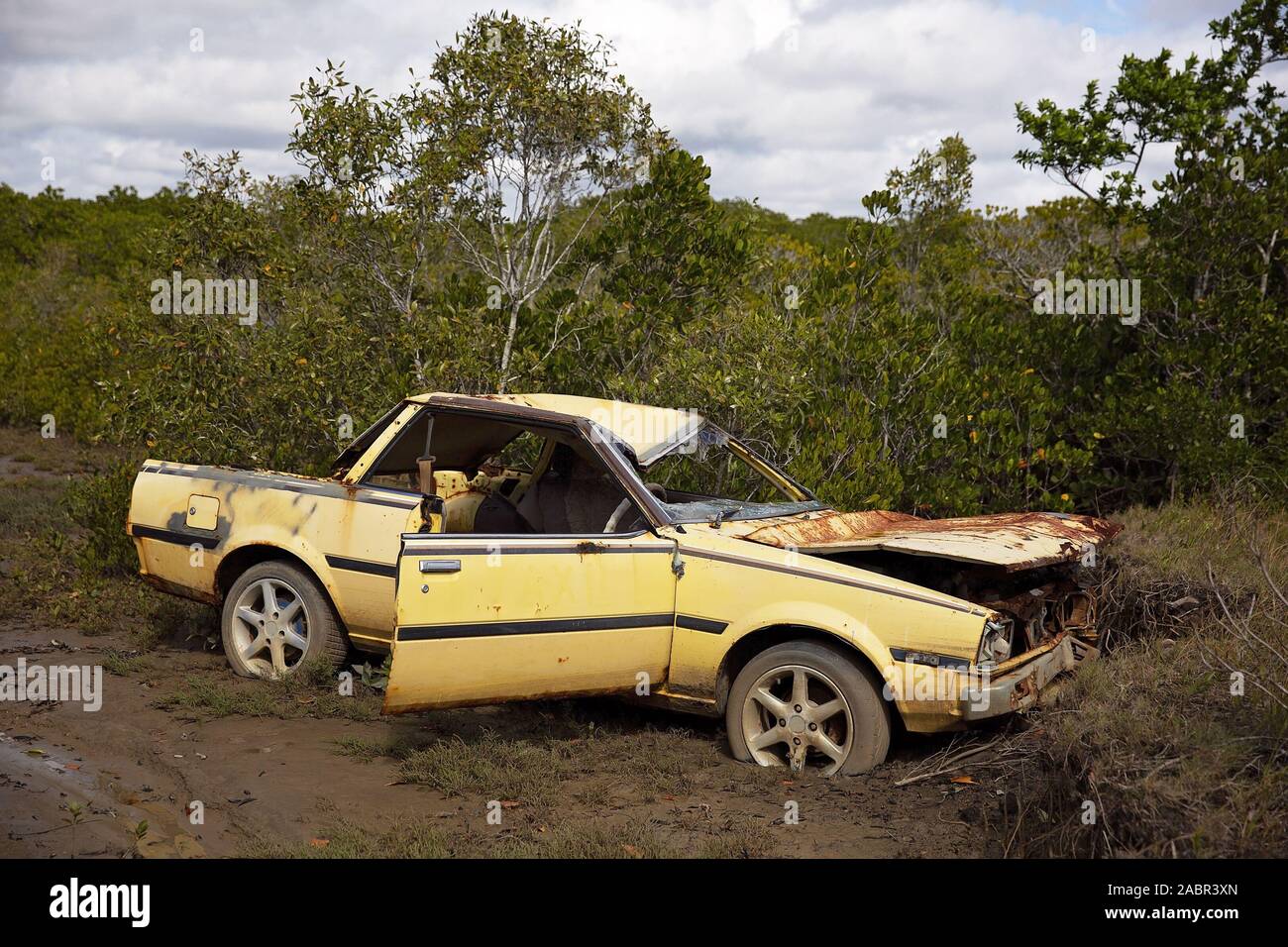 Un arrugginito relitto di un'auto abbandonate in le mangrovie Foto Stock