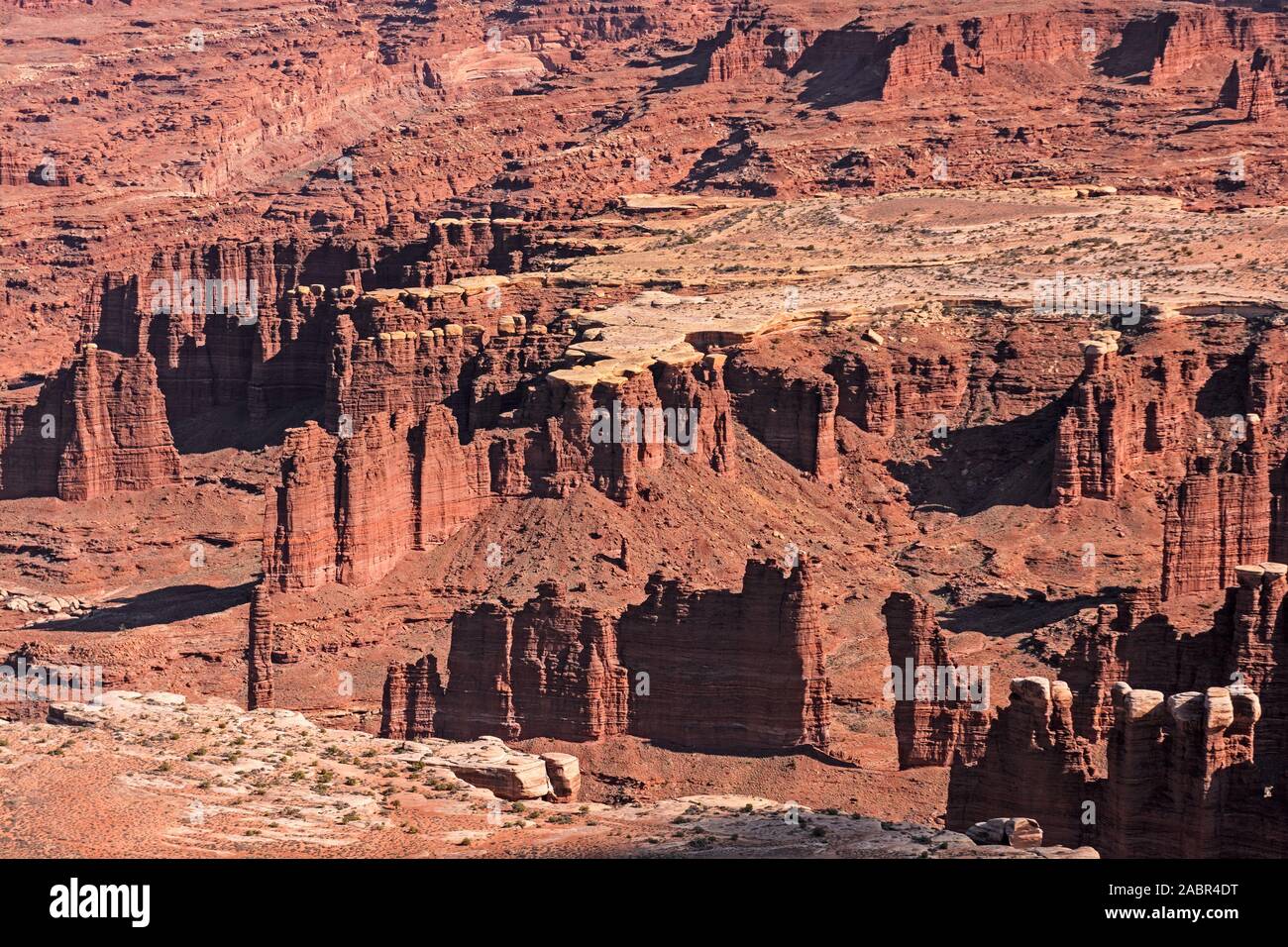 Roccia erosa in un remoto Canyon nel Parco Nazionale di Canyonlands in Utah Foto Stock