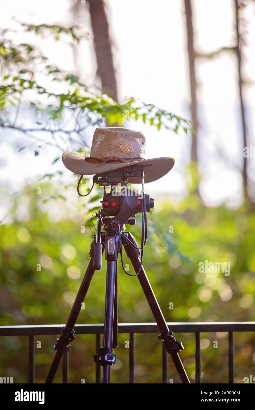 Un fotografo di hat copre la videocamera e treppiede per proteggerlo dal sole Foto Stock