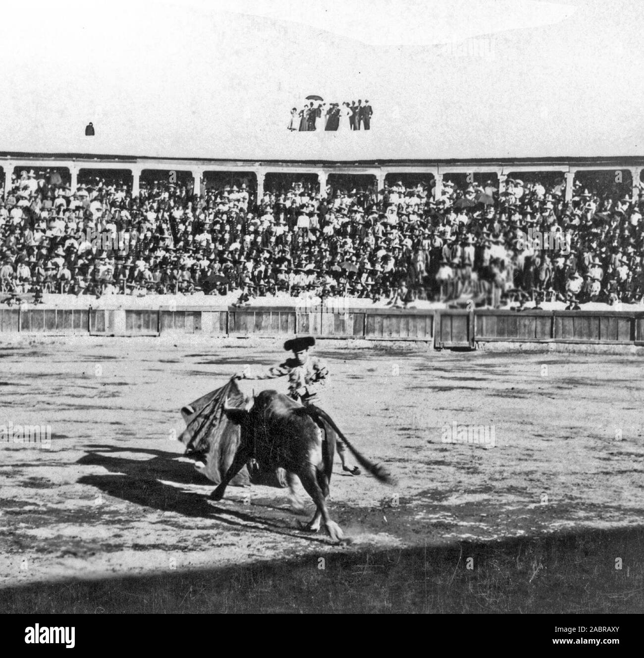 La corrida in corso, con ventole in background. ca. 1900 Foto Stock