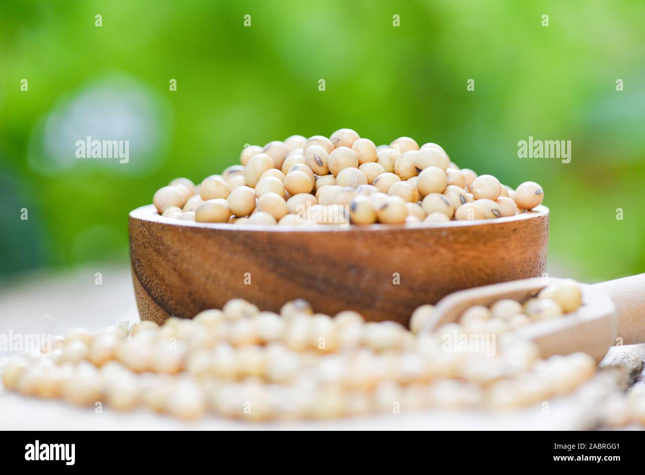 Soya , Soybean in a wooden bowl agricultural products / dry soy beans with nature background , selective focus Foto Stock