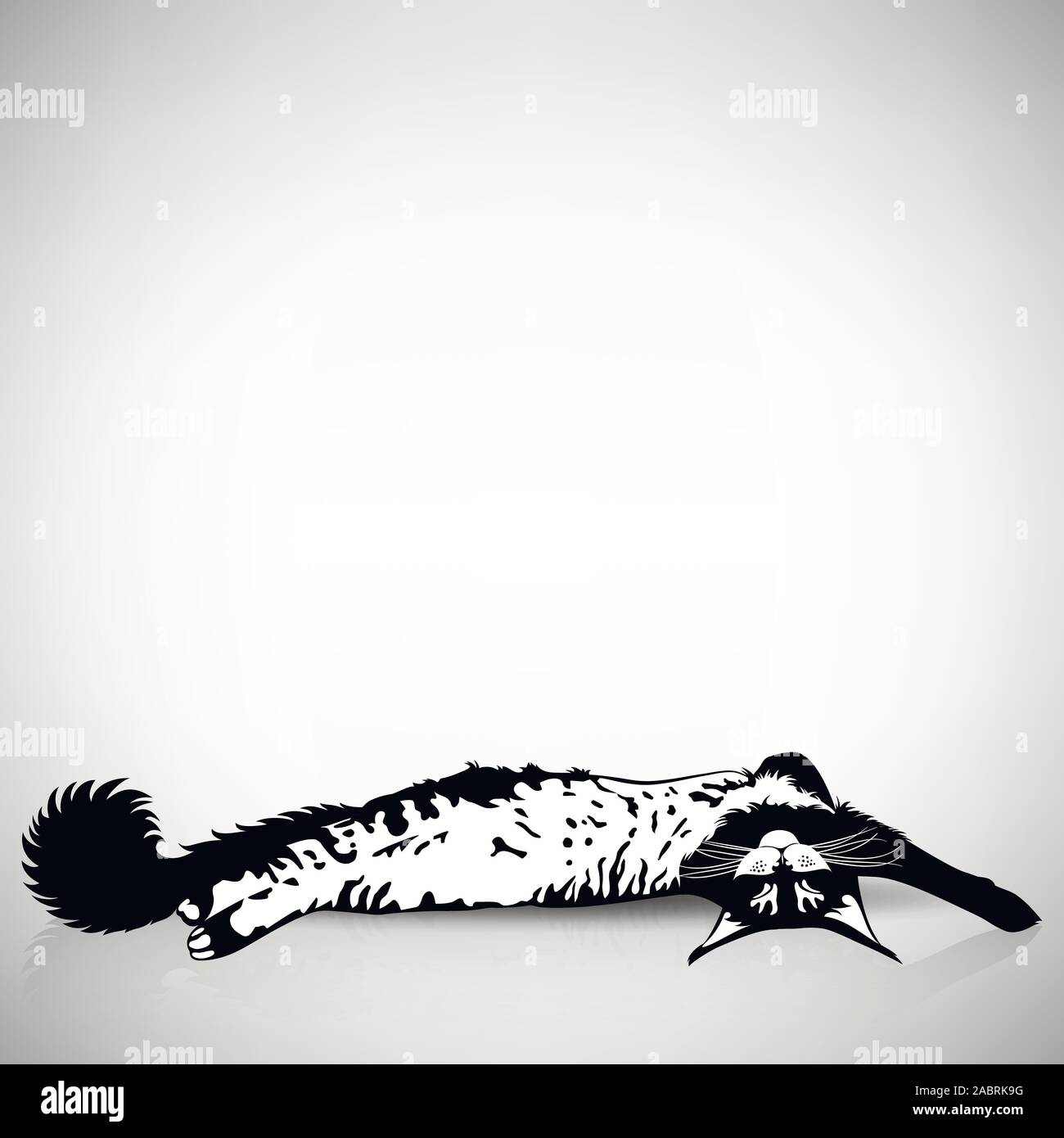 Divertente gatto dorme sulla sua schiena su uno sfondo luminoso Illustrazione Vettoriale