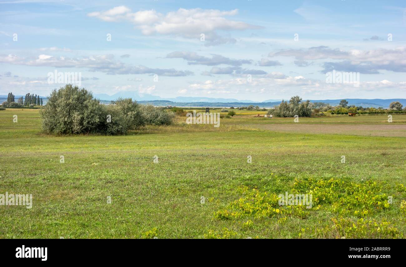 Idilliaco paesaggio rurale attorno a Illmitz in una zona denominata Burgenland in Austria Foto Stock