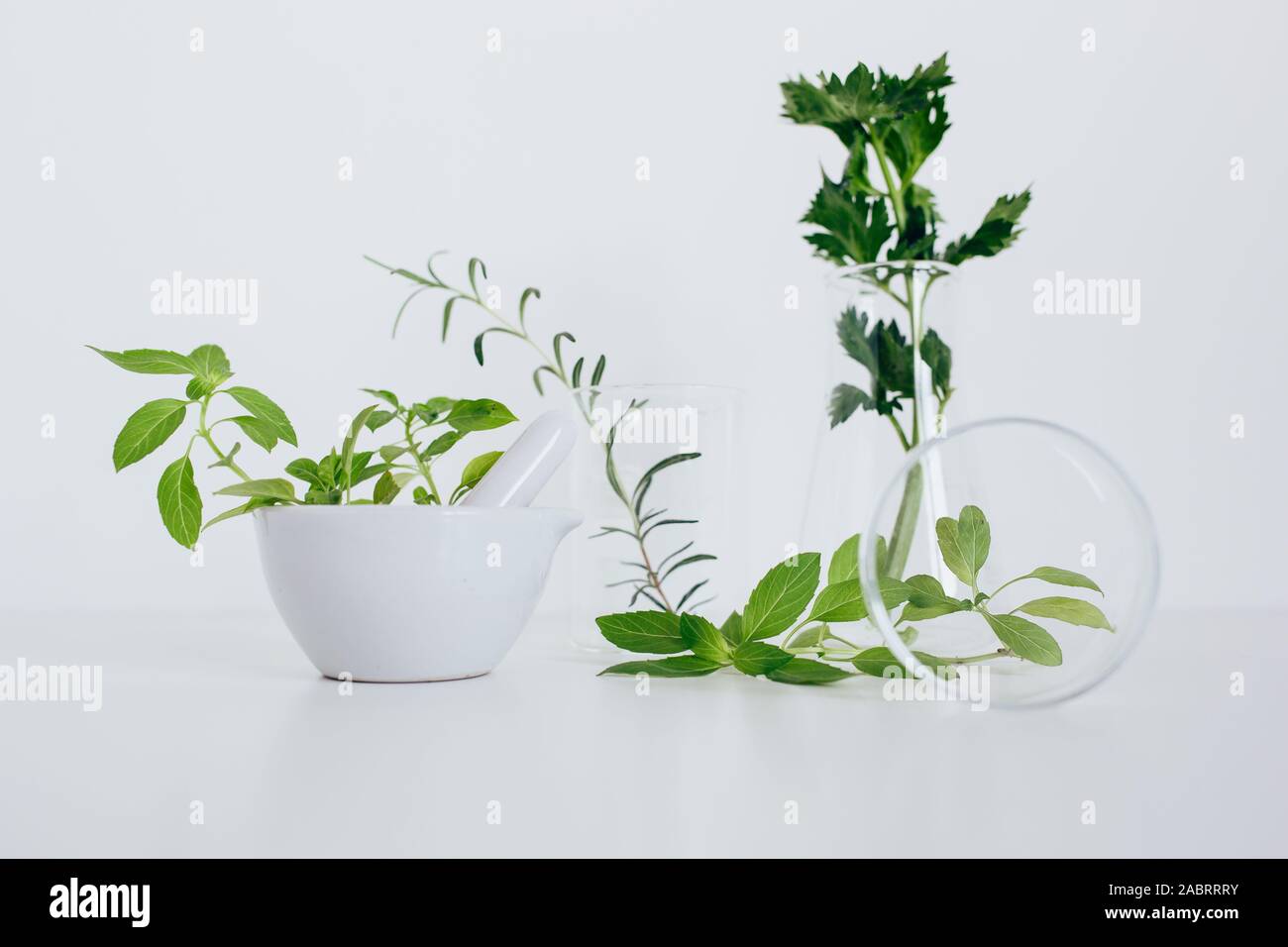Alternativa medicina di erbe, ricerca scientifica concept Foto Stock