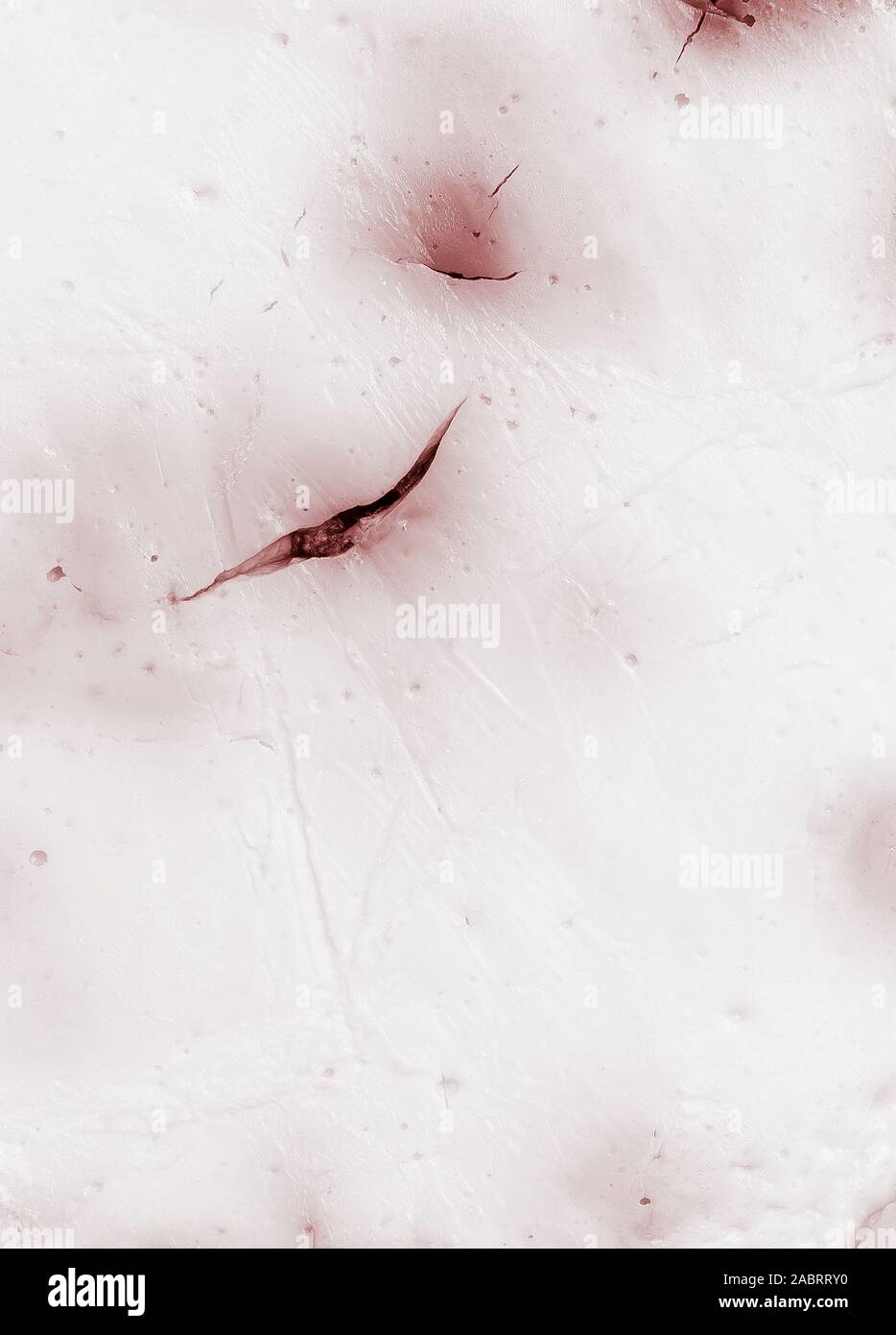 Abstract tagli sul tessuto vivente Foto Stock