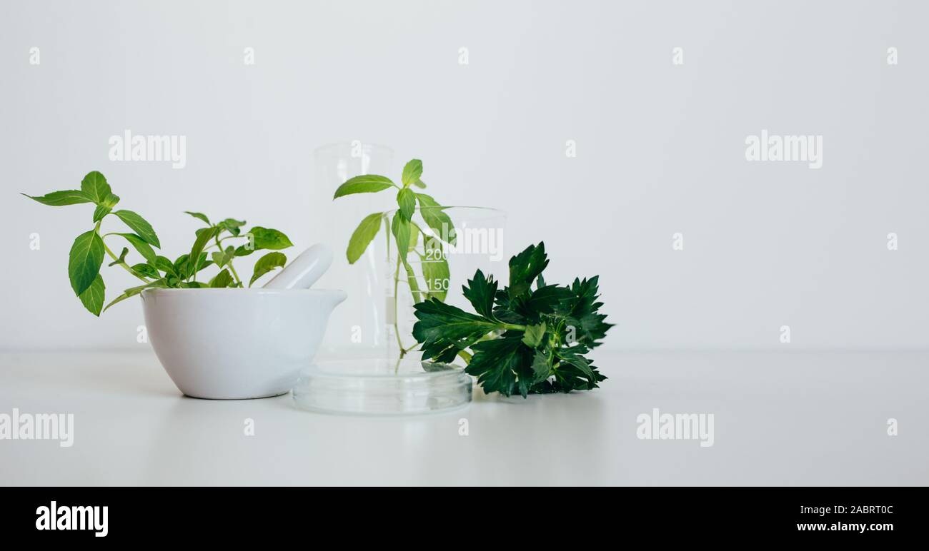 Alternativa medicina di erbe, ricerca scientifica concept Foto Stock