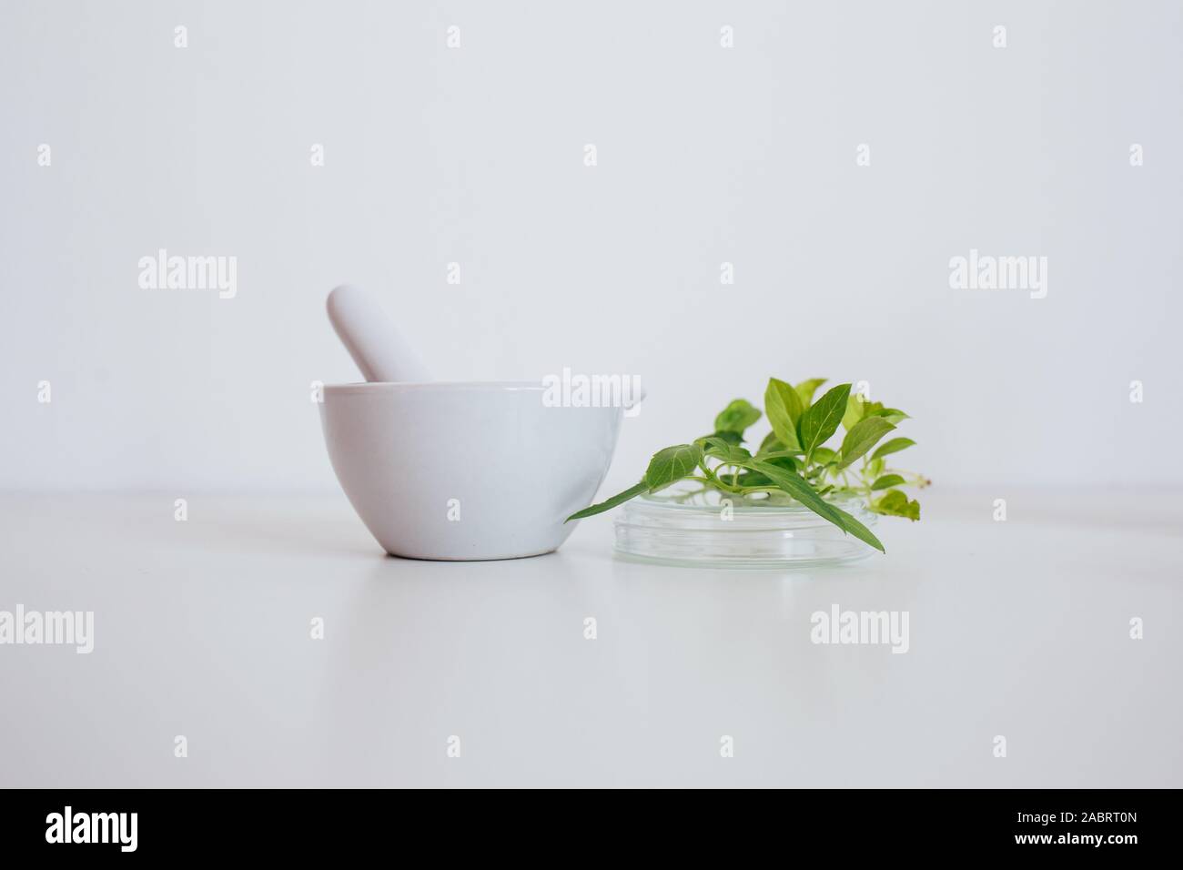 Alternativa medicina di erbe, ricerca scientifica concept Foto Stock