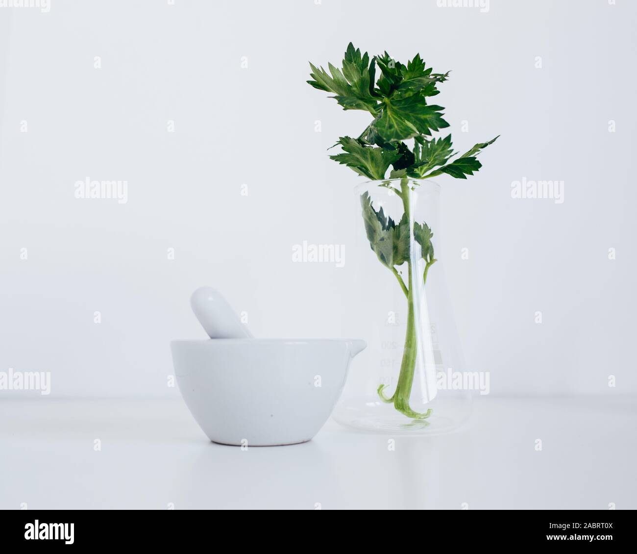 Alternativa medicina di erbe, ricerca scientifica concept Foto Stock