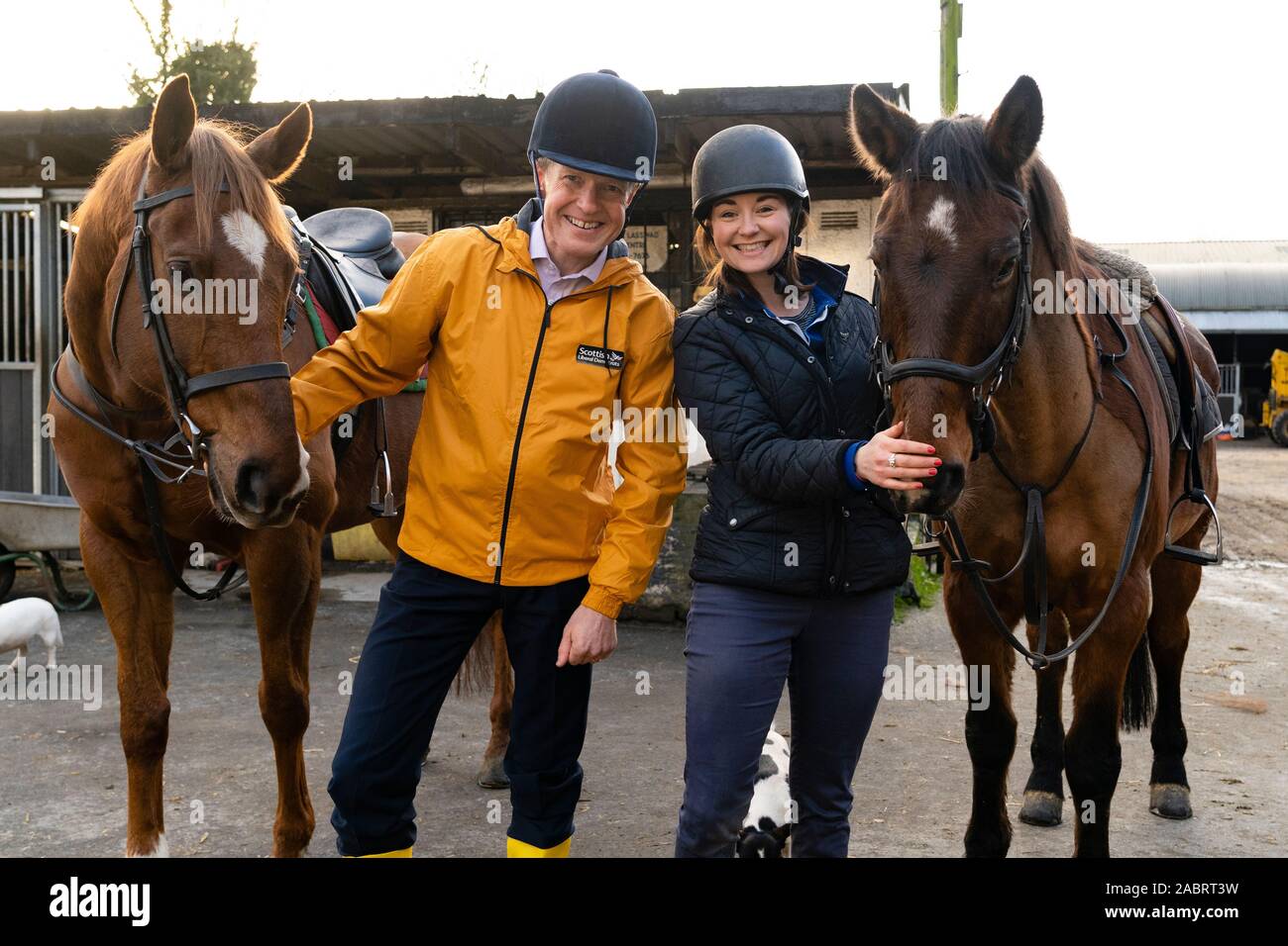 Lasswade, Scotland, Regno Unito. Il 28 novembre 2019. I liberali democratici evidenziare "due cavallo di razza in molti posti" a Lasswade maneggio e scuola di equitazione. Scottish Libe Foto Stock