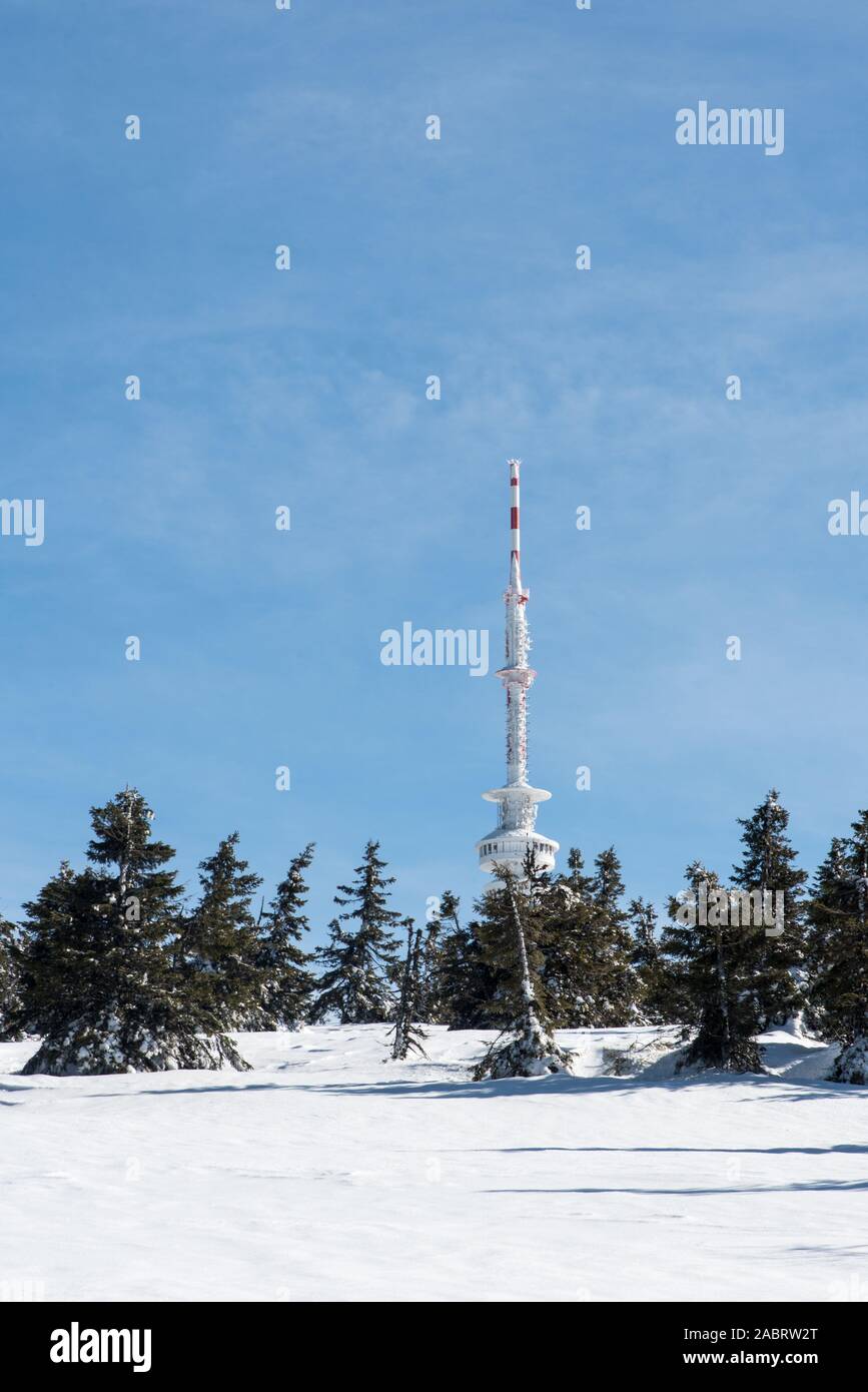 Praded hill in inverno Jeseniky montagne in Repubblica Ceca con la torre di comunicazione, alcuni piccoli alberi, la neve e il cielo blu Foto Stock